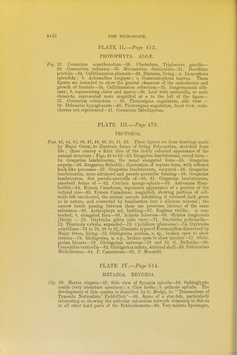 PLATE LL—Faffe 412. PROTOPHYTA. ALG^. Fig. 27. CGramiuiu acanthonotiim—28. Closteiium, Tn])loceru.s gracilis— 29. Cosmarium radiatum—30. Micrasterias denticulata—31. Docidium liiistidai—32. Callitliamniou plumula—33. Diatoma, living : a. Licmophora splendida ; b. Achnanthes longipes ; c. Grammatophora marina. These figures are intended to show the general chai'acter of the eudochronie and growth of frustule—34. Callithamnion refractum—35. Juugerinanniu albi- cans ; b. representing elater and spores—36. Leaf with antlieridia, or male elements, represented more magnified at a to the left of the figure— 37. Ceramium ecliinotum — 38. Pleurosigma angulatum, side view — 39. Delesseria hypoglossum—40. Pleurosigma angulatum, front view, endo- clirome not represented—41. Ceramium flabelligerum. PLATE 111.—Page 479. PROTOZOA. Figs. 43, 44, 45, 46, 47, 48, 49, 50, 51, 52. These figures are from drawings made by Major Owen, to illustrate forms of living Polycystina, sketched from life ; these convey a faint idea of the riclily coloured appearance of the natural structure ; Figs. 48 to 52—53. Gregarina lumbricorum, round form— 54. Gregarina lumbricorum, the usual elongated form—55. Gregarina serpulas—56. Gregarina Sieboldii; illustration of septate form, with reflexed hook-like processes—57. Gregarina lumbricorum, encysted—58. Gregarina lumbricorum, more advanced and pseudo-navicellje forming—59. Gregaiina lumbricorum, free pseudo-navicella of—60, 61. Gregarina lumbricorum, amceboid forms of—62. Cruciate sponge-spicule—63. Astromma Himi- boldtii—64. Eozoon Canadense, represents appearance of a portion of the natural size—65. Eozoon Canadense, magnified, showing portions of cell- walls left uncoloured, the animal sarcode inhabiting it coloured dark green as in nature, and converted by fossilisation into a sQicious mineral; the narrow bands passing between these are processes (stolons) of the same substance—66. Actinoplirys sol, budding—67. Eugleua viridis : a. con- tracted; b. elongated form—68. Acineta tuberosa—69. Qilcistes longicornis (Davis) — 70. Oxytricha gibba (side view)—71. Oxytricha pellionella— 72. Tliuricola valvata, expanded—73. Cyclidium (glaucoma)—74. Oxytricha sciutillans—75 to 79, 80 to 85, illustrate types of Foraminifera discovered by Major Owen, living—75. Globigerina accrosa, n. sp., broken open to show interior—76. Globigerina, n. s.p., broken open to show interior—77. Globi- gerina hirsuta—78. Globigerina universa—79 and 81. G. BuUoides—SO. Conochilus vorticella—82. Globigerina inflata, sinistral shell-83. Pulviuuliua T\Iicheliniana—84. P. Canariensis—85. P. Menardii. PLATE IV.—Pa<7e 514. METAZOA. BRYOZOA. Fig. 86. Hartea elegans—87. Side view of Syiuipta spicula—88. Ophioglyph;<, rosula (very immature sjiccimcn): a. Claw hooks; I. palmate spicula. Tlic development of this species is described by G. Hodge, in  Ti-ansactions of Tyuesidc Naturalists' Field-Club—89. Spine of a star-fish, particularly interesting as .sliowing the reticular calcareous network obtaining in this as in all other hard parts of the Echinodermata—90. Very minute Si)atangus,