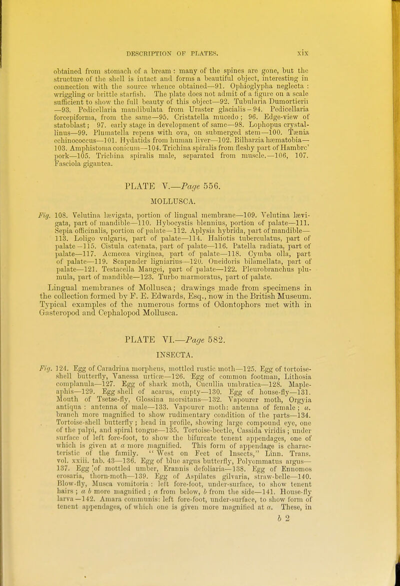 obtained from stomach ol' a bream : many of the spines arc gone, but the structure of tlic shell is intact and forms a beautiful object, interesting in connection with the source whence obtained—91. Ophioglypha neglecta : wriggling or brittle starlish. The plate does not admit of a iigure on a scale suBicient to show the full beauty of this object—92. Tubularia Dumortierii —93. Pediccllaria mandibulata from Uraster glacialis-94. Pedicellaria forcepiforma, from the same—95. Cristatella mucedo ; 96. Edge-view of statoblast; 97. early stage in development of same—98. Lophopus crystal- linus—99. Pluniatella repens with ova, on submerged stem—100. TajnLa echinococcus—101. Hydatids from human liver—102. Bilharzia hajmatobia— 103. Amphistoma conicum—104. Trichina spiralis from fleshy part of Hambrc' pork—105. Trichina spiralis male, separated from niu.scle.—106, 107. Fasciola gigantea. PLATE Y.—Pmje 556. MOLLUSCA. Fig. 108. Velutina lajvigata, portion of lingual membrane—109. Velutina Ifevi- gata, part of mandible—110. Hybocystis blennius, portion of palate—111. Sepia officinalis, portion of palate—112. Aplysia hybrida, part of mandible— 113. Loligo vulgaris, part of palate—114. Haliotis tuberculatus, part of palate—115. Cistula catenata, part of palate—116. Patella radiata, part of palate—117. Acmeoea virginea, part of palate—118. Cymba olla, part of palate—119. Scapander ligniarins—120. Oneidoris bilamellata, part of palate—121. Testaceila Maugei, part of palate—122. Pleurobranchus plu- mula, part of mandible—123. Turbo marmoratu.?, part of palate. Lingual membranes of MoUusca; drawings made from specimens in the collection fonned by F. E. Edwards, Esq., now in the British Museum. Typical examples of the numerous forms of Odontophors met with in Gasteropod and Cephalopod Mollusca. PLATE YL—Page 582. INSECTA. Fir/. 124. Egg of Caradrina morphens, mottled rustic moth—125. Egg of tortoise- shell butterfly, Vanessa urtica;—126. Egg of common footman, Litho.sia complanula—127. Egg of shark moth, Cucullia nmbratica—128. Maple- aphis—129. Eggshell of acarus, empty—130. Egg of house-fly—131. Mouth of Tsetse-fly. Glossina morsitan.s—132. Vajiourer moth, Orgyia antirpia : antenna of male—133. Vapourer moth: antenna of female; a. branch more magnified to .show rudimentary condition of tiie parts—134. Tortoise-shell butterfly; head in profile, .showing large compound eye, one of the palpi, and spiral tongue—135. Tortoise-bcetlo, Cassida viridis ; under surface of left fore-foot, to .show the bifurcate tcnent appendages, one of which is given at a more magnified. This form of apjjendage is charac- teristic of the family.  West on Feet of Insects, Linn. Trans, vol. xxiii. tab. 43—136. Egg of blue argus butteifly, Polyommntus argus— 137. Egg [of mottled umber, Erannis defoliaria—138. Egg of Ennomos erosaria, thorn-moth—139. Egg of Aspilates gilvaria, straw-belle—140. Blow-tiy, Musca voniitoria : lelt fore-foot, nnder-surface, to show tenent hairs ; a b more magnified ; a from below, h from the side—141. House-fly larva—142. Amara cominunis: left fore-foot, under-surface, to .show i'orm of tenent ajipendages, of which one is given more magnified at a. These, in h 2