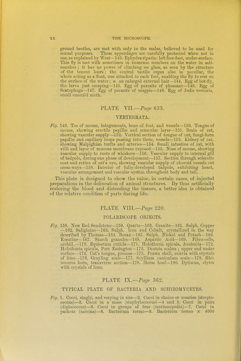 gi'ound beetles, are met with only in the males, believed to be used for sexual purposes. These appendages arc carefully protected when not in use, as explained by West—143. Epliydra riparia: left fore-foot, under-surfaee. This fly is met with sometimes in immense numbers on the water in salt- marshes ; it has no power of climbing on glass, as seen by the structure of the tenent hairs; tlie central tactile organ also is peculiar, the whole acting as a float, one attached to each foot, enabling the fly to rest on the surface of the water; a. an enlarged external hair—144. Egg of bot-fly, the larva just escaping—145. Egg of parasite of pheasant—146. Egg of Scatopliaga—147. Egg of parasite of magpie—148. Egg of Jodis vernaria, small emerald moth. PLATE Yll.—Page 633. VERTEBRATA. Fig. 149. Toe of mouse, integuments, bone of foot, and vessels—150. Tongue of mouse, showing erectile papillae and muscular layer—151. Brain of rat, showing vascular supply—152. Vertical section of tongue of cat, fungi-forai papilhe and capillary loops passing into them, vessels—15-3. Kidney of cat, showing Malpighian turfts and arteries—154. Small intestine of rat, with villi and layer of mucous membrane exposed—155. Nose of mouse, showing vascular supply to roots of whiskers—156. Vascular supply to internal gill of tadpole, during one phase of development—-157. Section through sclerotic coat and retina of cat's eye, showing vascular supply of choroid vessels cut cross-ways—158. Interior of fully-developed tadpole, exhibiting heart, vascular arrangement and vascular system throughoxit body and tail. This plate is designed to show the value, in certain cases, of injected preparations in the delineation of animal structui'es. By thus artificially restoring the blood and distending the tissues, a better idea is obtained of the relative condition of parts during life. PLATE Wll.—Page 220. POLARISCOPE OBJECTS. Fig. 158. New Red Sandstone—159. Quartz—163. Granite—161. Sulph. Copper —162. Saliginine—163. Suli)h. Iron and Cobalt, crystallized in the way described by Thomas—164. Borax—165. Sulph. Nickel and Potash—166. Kreatine—167. Starch granules—168. Aspartic Acid—169. Fibro-oells, orchid.—170. Equisetum cuticle—171. Holothuria spieula, Australia—172. Holothuria spieula. Port Essington—173. Deutzia scabra ; upper and undei' surface—174. Cat's tongue, process—175. Prawn shell, exuvia with crystals of lime—176. Grayling scale—177. Scyllium caniculum scale—178. Rhi- noceros horn, transverse section—179. Horse hoof—180. Dytiscu.s, elytra with cry.stals of lime. PLATE l^.—Pacje 362. TYPICAL PLATE OF BACTERIA AND SCHIZOMYCETES. Fig. 1. Cocci, singly, and varying in size—2. Cocci in chains or rosaries (strepto- coccus)—3. Cocci in a mass (staphylococcus)—4 and 5. Cocci in pairs (diplococeus)—6. Cocci in groups of four (merismopcdiu)—7. Cocci in packets (sarcina)—8. Bacterium termo—9. Bacterium tenno x 4000