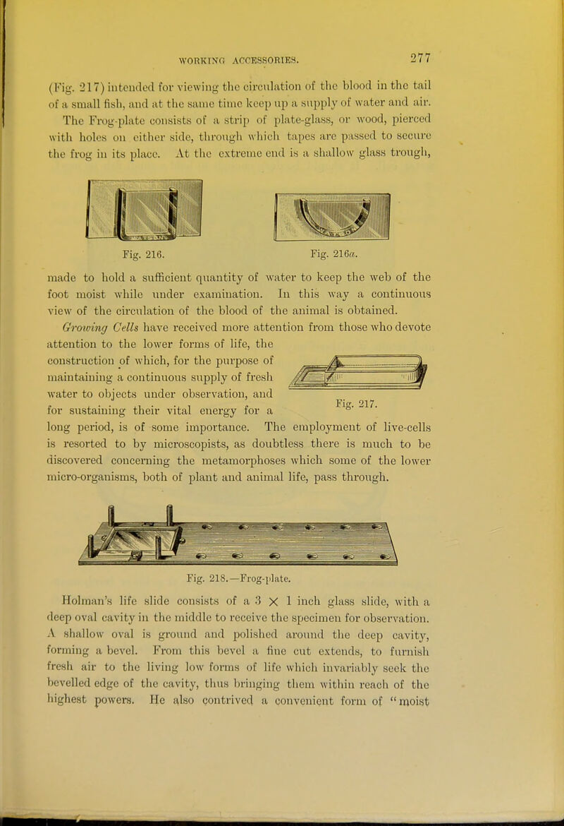 (Fig. 217) intended for viewing tlic circulation of the blood in the tail of a small fisli, and at the same time keep up a supply of water and air. The Frog-plate consists of a strip of plate-glass, or wood, pierced with holes on either side, through which tapes are passed to secure the frog in its place. At the extreme end is a sliallow glass trough, Fig. 216. Fig. 216ff. made to hold a sufficient quantity of Avater to keep the web of the foot moist while imder examination. In this way a continuous view of the circulation of the blood of the animal is obtained. Growing Cells have received more attention from those who devote attention to the lower forms of life, the construction of which, for the purpose of maintaining a continuous supply of fresh Avater to objects under observation, and for sustaining their vital energy for a long period, is of some importance. The employment of live-cells is resorted to by microscopists, as doubtless there is much to be discovered concerning the metamorphoses which some of the lower micro-organisms, both of plant and animal life, pass through. Fig. 218.—Frog-iilate. Holman's life slide consists of a 3 X 1 inch glass slide, with a deep oval cavity in the middle to receive the specimen for observation. A shallow oval is ground and polished around the deep cavity, forming a bevel. From this bevel a fine cut extends, to furnish fresh air to the living low forms of life which invariably seek the bevelled edge of the cavity, thus bringing them within reach of the highest powers. He &ho contrived a convenient form of moist