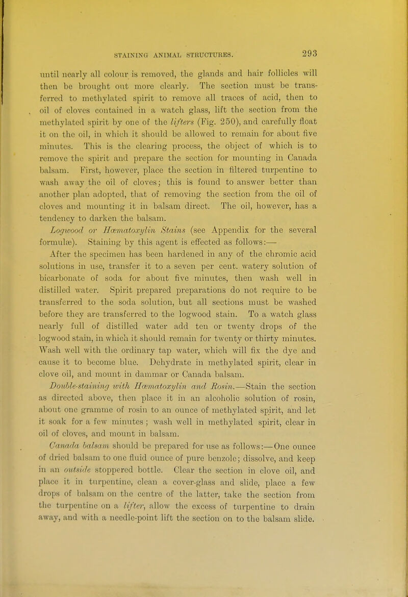 until nearly all colour is removed, the glands and hair follicles will then be brought out more clearly. The section must be trans- ferred to methylated spirit to remove all traces of acid, then to oil of cloves contained in a watch glass, lift the section from the methylated spirit by one of the lifters (Fig. 250), and carefully float it on the oil, in which it should be allowed to remain for about five minutes. This is the clearing process, the object of which is to remove the spirit and jjrepare the section for mounting in Canada balsam. First, however, place the section in filtered turjDentine to wash away the oil of cloves; this is found to answer better than another plan adopted, that of removing the section from the oil of cloves and mounting it in balsam direct. The oil, however, has a tendency to darken the balsam. Logiuood or Hcematoxylin Stains (see Appendix for the several formulte). Staining by this agent is eflfected as follows:— After the specimen has been hardened in any of the chromic acid solutions in use, transfer it to a seven per cent, watery solution of bicarbonate of soda for aboi;t five minutes, then wash well in distilled water. Sjpirit prepared preparations do not require to be transferred to the soda solution, but all sections must be washed before they are transferred to the logwood stain. To a watch glass nearly full of distilled water add ten or twenty drops of the logwood stain, in which it should remain for twenty or thirty minutes. Wash well with the ordinary tap water, which will fix the dye and cause it to become blue. Dehydrate in methylated spirit, clear in clove oil, and mount in dammar or Canada balsam. Double-staining ivith Hcematoxylin and Rosin.—Stain the section as directed above, then place it in an alcoholic solution of rosin, about one gramme of rosin to an ounce of methylated spirit, and let it soak for a few minutes ; wash well in methylated spirit, clear in oil of cloves, and mount in balsam. Canada balsam should be prepared for use as follows:—One ounce of dried balsam to one fluid ounce of pure benzoic; dissolve, and keep in an outside stoppered bottle. Clear the section in clove oil, and place it in turpentine, clean a cover-glass and slide, place a few drops of balsam on the centre of tlie latter, take the section from the turpentine on a lifter, allow the excess of turpentine to drain away, and with a needle-point lift the section on to the balsam slide.