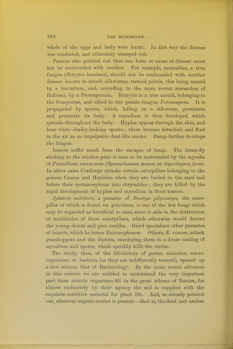 whole of the eggs aud body were burnt. lu this way the disease was combated, and ultimately stamped out. Pasteur also pointed out that one form or cause of disease must not be confounded with another. For example, muscadine, a true fungus (Botri/tis Lassiana), should not be confounded with another disease known to attack silkworms, termed 2^ebrin, this being caused by a bacterium, and, according to the more recent researches of Balbiani, by a Psorospermia. Botrytis is a true mould, belonging to the Oomycetes, and allied to the potato fungus, Peronospoi-a. It is propagated by spores, which, falling on a silkworm, germinate aud penetrate its body. A mycelium is then developed, which spreads throughout the body. Hyphse appear through the skin, and bear white chalky-looking spores; these become detached, and float in the air as an impalpable dust-like smoke. Damp further develops the fungus. Insects suffer much from the ravages of fungi. The house-fly sticking to the window-pane is seen to be svirrounded by the mycelia of Penicillium racempmm (Sporendcmema muscoe, or Sajirolegnia ferce). In other cases Cordiceps attacks certain caterpillars belonging to the genera Cossus and Hepialus when they are buried in the sand and before their metamoi'phosis into chrysalides; they are killed by the rapid development of hyphse and mycelium in their tissues. Sphceria miletaris, a parasite of Bomhyx jjHyocaiya, the cater- pillar of which is found on pine-trees, is one of the few fungi which may be regax'ded as beneficial to man, since it aids in the destruction of multitudes of these caterpillars, which otherwise would devour the young shoots and pine needles. Giard specialises other parasites of insects, which he terms Entoniophorese Others, E. rimosa, attack grasshoppers and the diptera, enveloping them in a dense coating of mycelium and spores, which speedily kills the victim. The study, then, of the life-history of germs, microbes, micro- organisms, or bacteria (as they are indifferently termed), opened up a new science, that of Bacteriology. By the more recent advances in this science we are enabled to understand the very important part these minute organisms fill in the great scheme of Nature, for almost exclusively by their agency the soil is supplied with the requisite nutritive material for plant life. And, as already pointed out, wherever organic matter is present—that is, the dead and useless