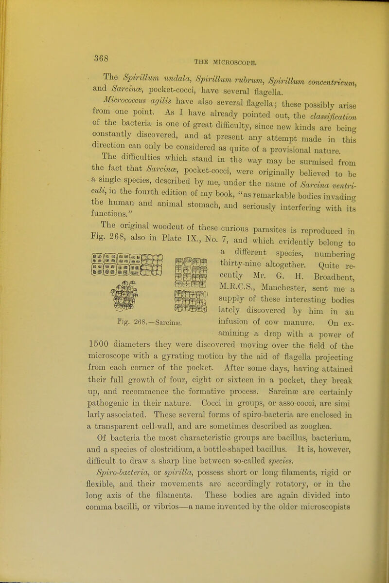 The microscope. . The Spirillmi unclala, Spirilluvi ruhrum, Spirillmn ccmcentncum, and Sarcmce, pocket-cocci, liave several flagella. Micrococcus agilis have also several flagella; these possibly arise from one point. As I have already pointed out, the classificaticm of the bacteria is one of great difficulty, since new kinds are being constantly discovered, and at present any attempt made in this du-ection can only be considered as quite of a provisional nature The difficulties which stand in the way may be surmised from tlie fact that Sarcince, pocket-cocci, were originally believed to be a smgle species, described by me, under the name of Sarcina ventri- cuh,m the fourth edition of my book, as remarkable bodies invadin<r the human and animal stomach, and seriously interfering with its lunctions. The original woodcut of these curious parasites is reproduced in Fig. 268, also in Plate IX., No. 7, and which evidently belong to a different species, numbering thirty-nine altogether. Quite re- cently Mr. G. H. Broadbent, M.R.C.S., Manchester, sent me a supply of these interesting bodies lately discovered by him in an infusion of cow manure. On ex- amining a drop with a power of 1500 diameters they were discovered moving over the field of the microscope with a gyrating motion by the aid of flagella projecting fi-om each corner of the pocket. After some days, having attamed their full growth of four, eight or sixteen in a pocket, they break up, and recommence the formative process. Sarcinfe are certainly pathogenic in their nature. Cocci in groups, or asso-cocci, are simi larly associated. These several forms of spiro-bacteria are enclosed in a transparent cell-wall, and are sometimes described as zooglsea. Of bacteria the most characteristic groups are bacillus, bacterium, and a species of Clostridium, a bottle-shaped bacillus. It is, however, difficult to draw a sharp line between so-called species. S2nro-bacteria, or S2nrilla, possess short or long filaments, rigid or flexible, and their movements arc accordingly rotatory, or in the long axis of the filaments. These bodies are again divided into comma bacilli, or vibrios—a name invented by the older microscopista Fig. 268.-Sarcm£E.