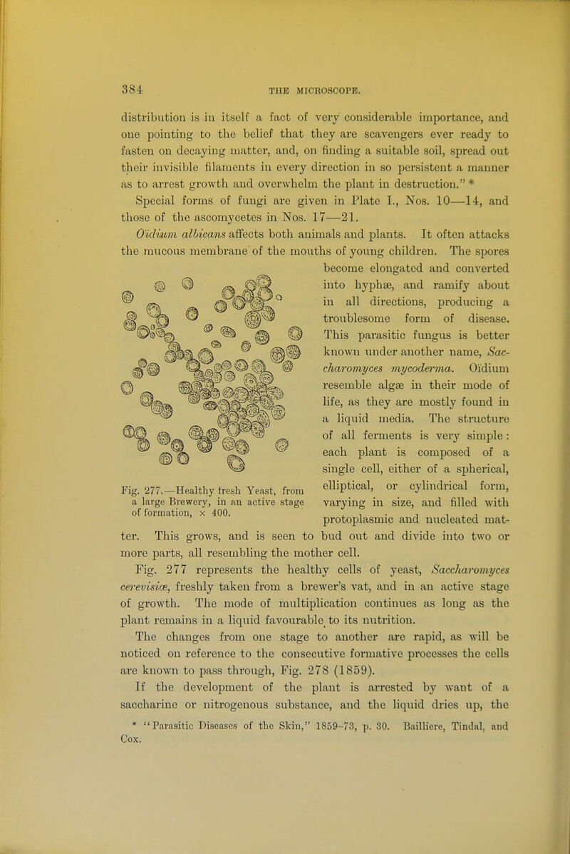 distribution is in itself a fact of very considerable importance, and one pointing to the belief that they are scavengers ever ready to fasten on decaying matter, and, on finding a suitable soil, spread out their invisible filaments in every direction in so persistent a manner as to arrest growth and overwhelm the plant in destruction. * Special forms of fungi arc given in Plate I., Nos. 10—14, and those of the ascomycetes in Nos. 17—21. O'idmm albicans affects both animals and plants. It often attacks the mucous membrane'of the mouths of young children. The spores become elongated and converted into hyphae, and ramify about in all directions, producing a troublesome form of disease. This parasitic fungus is better known luider another name, Sac- charomyces mycoderma. Oidium resemble algse in their mode of life, as they are mostly found in a liquid media. The structure of all ferments is veiy simple: each plant is composed of a single cell, either of a spherical, elliptical, or cylindrical form, varying in size, and filled with protoplasmic and nucleated mat- ter. This grows, and is seen to bud out and divide into two or more parts, all resembling the mother cell. Fig. 277 represents the healthy cells of yeast, Saccharomyces cerevisice, freshly taken from a brewer's vat, and in an active stage of growth. The mode of multiplication continues as long as the plant remains in a liquid favourable to its nutrition. The changes from one stage to another are rapid, as will be noticed on reference to the consecutive formative processes the cells are known to pass through, Fig. 278 (1859). If the development of the plant is arrested by want of a saccharine or nitrogenous substance, and the liquid dries up, the • Parasitic Diseases of the Skin, 1859-73, p. .30. liaillicro, Tindal, and Cox. Fig. 277.—Healthy fresh Yeast, from a large Brewery, in an active stage of formation, x 400.