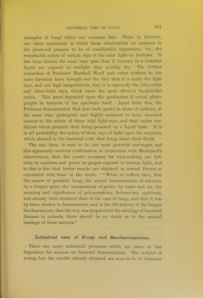 INDUSTRIAL USES OF FUNGf. examples of fungi which can consume fats. There is, however, one other connection in which these observations on enzymes in the phvnt-ccll promise to be of considerable importance, viz., the remarkable action of certain rays of the solar light on bacteria. It has been known for some time past that if bacteria in a nutrient liquid are exposed to sunlight they quickly die. The further researches of Professor Marshall Ward and other workers in the same direction have brought out the fact that it is really the light rays, and not high temperatures, that it is especially the blue-violet and ultra-violet rays, which exert the most effective bactericidal action. This pi'oof depended upon the production of actual photo- graphs in bacteria of the spectrum itself. Apart from this, the Professor demonstrated that just such spores as those of anthi'ax, at the same time pathogenic and highly resistant to heat, succumb soonest to the action of these cold light-rays, and that under con- ditions which preclude their being poisoned by a liquid bath. It is in all probability the action of these rays of light upon the enzymes, which abound in the bacterial cells, that bring about their death. The sun, then, is seen to be our most powerful scavenger, and this apparently receives confirmation in connection with Martinaud's observations, that the yeasts necessary for wine-making are defi- cient in numbers and power on grapes exposed to intense light, and to this is due that better results are obtained in central France as contrasted with those in the south.  When we reflect, then, that the nature of parasitic fungi, the actual demonstration of infection by a fungus spore, the transmission of germs by water and air, the meaning and significance of polymorphism, hetersecism, symbiosis, had already been i-endered clear in the case of fungi, and that it was by these studies in fermentation, and in the life-history of the fungus Saccharomyces, that the way was prepared for the aetiology of bacterial diseases in animals, there should be no doubt as to the mutual bearings of these matters. Industrial uses of Fungi and Saccharomycetes. There are many industrial processes which are more or less dependent for success on bacterial fermentations. The subject is young, but the results already obtained are seen to be of immense
