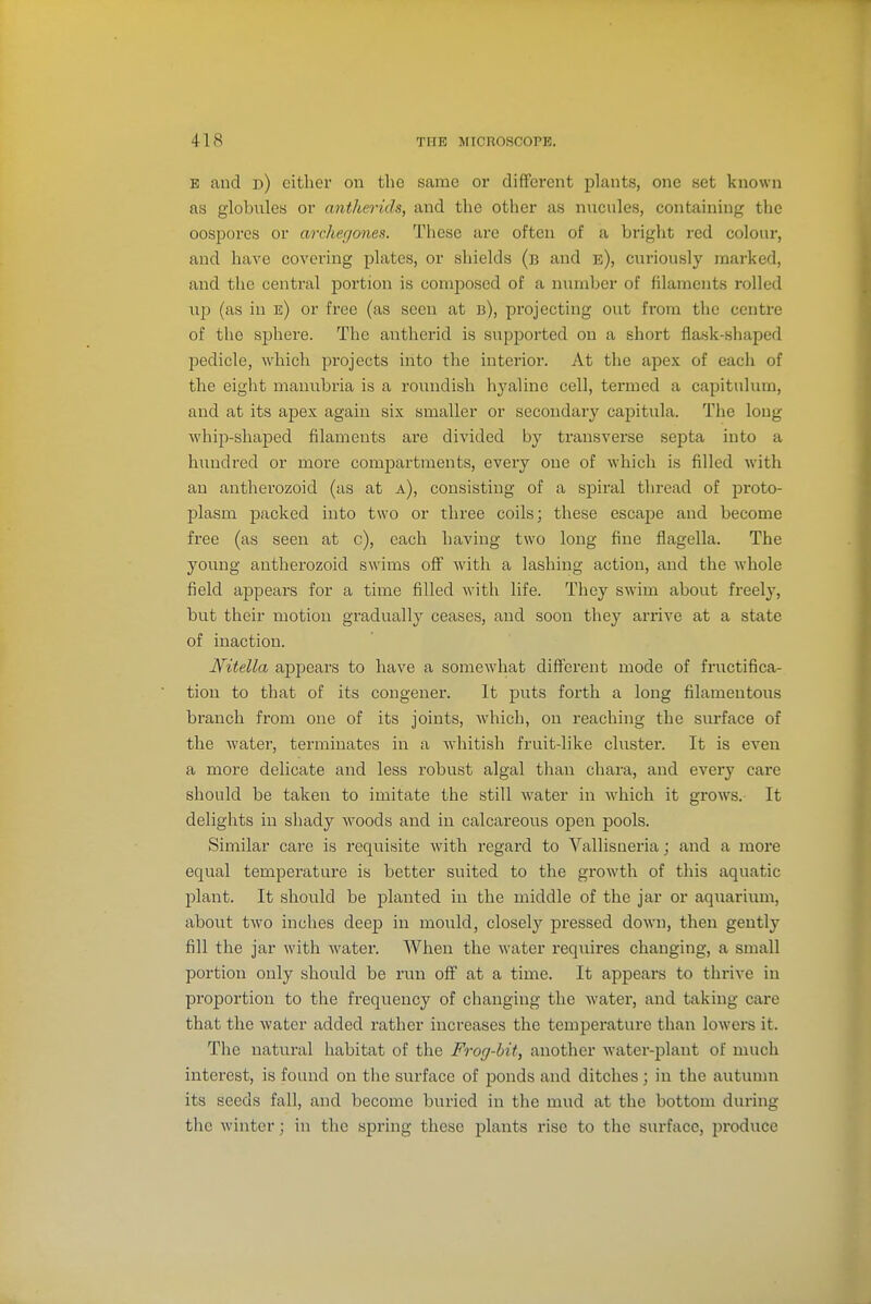 E and d) either on the same or different plants, one set known as globules or antherids, and the other as nucules, containing the oospores or archer/ones. These are often of a bright red colour, and have covering plates, or shields (b and e), curiously marked, and the central portion is composed of a number of filaments rolled up (as in e) or free (as seen at b), projecting out from the centre of the sphere. The antherid is supported on a short flask-shaped jjedicle, which projects into the interior. At the apex of each of the eight mauubria is a roundish hj'aline cell, termed a capitulum, and at its apex again six smaller or secondary capitula. The long whip-shaped filaments are divided by triinsverse septa into a hundred or more compartments, every one of which is filled with an antherozoid (as at a), consisting of a spiral thread of proto- plasm packed into two or three coils; these escape and become free (as seen at c), each having two long fine flagella. The young antherozoid swims off with a lashing action, and the whole field appears for a time filled with life. They swim about freely, but their motion gradually ceases, and soon they axTive at a state of inaction. Nitella appears to have a somewhat different mode of fructifica- tion to that of its congener. It puts forth a long filamentous branch from one of its joints, which, on reaching the siu-face of the water, terminates in a Avhitish fruit-like cluster. It is even a more delicate and less robust algal than chara, and every care should be taken to imitate the still water in which it grows. It delights in shady woods and in calcareous open pools. Similar care is requisite with regard to Vallisneria; and a moi'C equal temperature is better suited to the growth of this aquatic plant. It should be planted in the middle of the jar or aquarium, about two inches deep in mould, closely pressed down, then gently fill the jar with water. When the water requires changing, a small portion only should be run off at a time. It appears to thrive in proportion to the frequency of changing the water, and taking care that the water added rather increases the temperature than lowers it. The natural habitat of the Frog-bit, another water-plant of much interest, is found on the surface of ponds and ditches; in the autumn its seeds fall, and become buried in the mud at the bottom during the winter; in the spi'ing these plants rise to the surface, produce