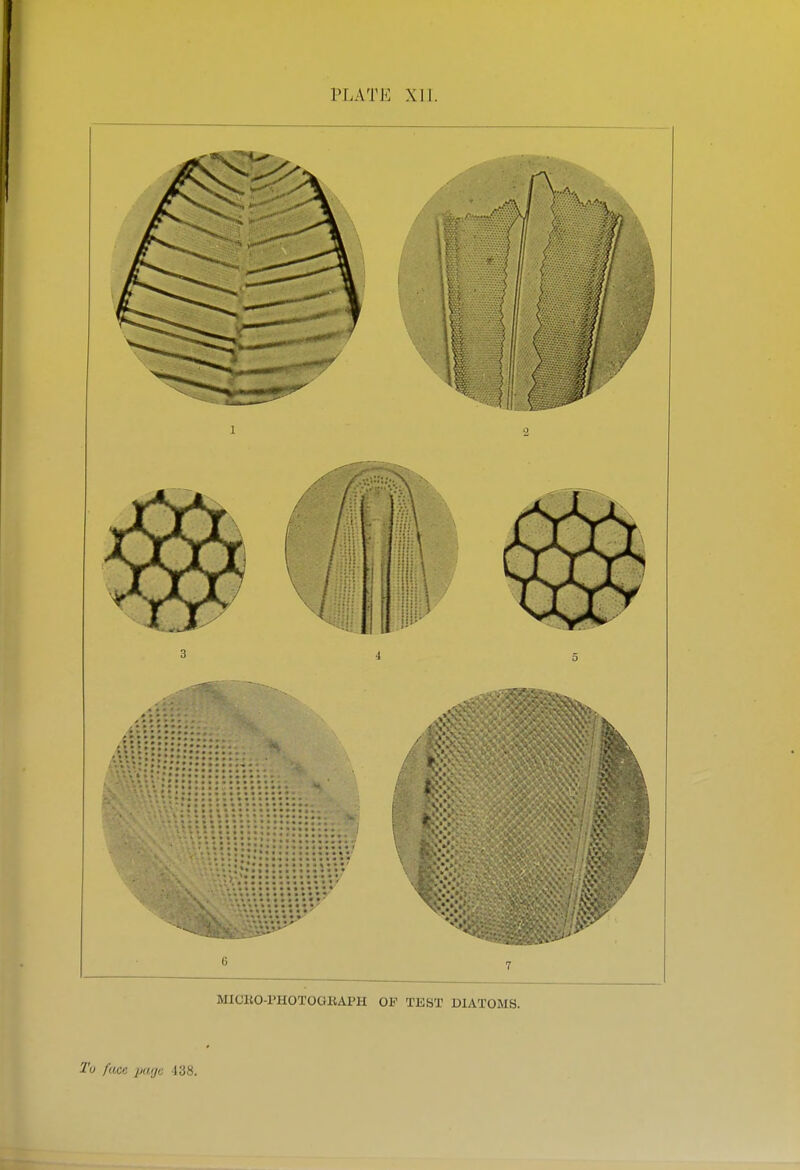 PLATE XII. MICKO-PHOTOGKAPH OF TEST DIATOMS. Tu face page 438.