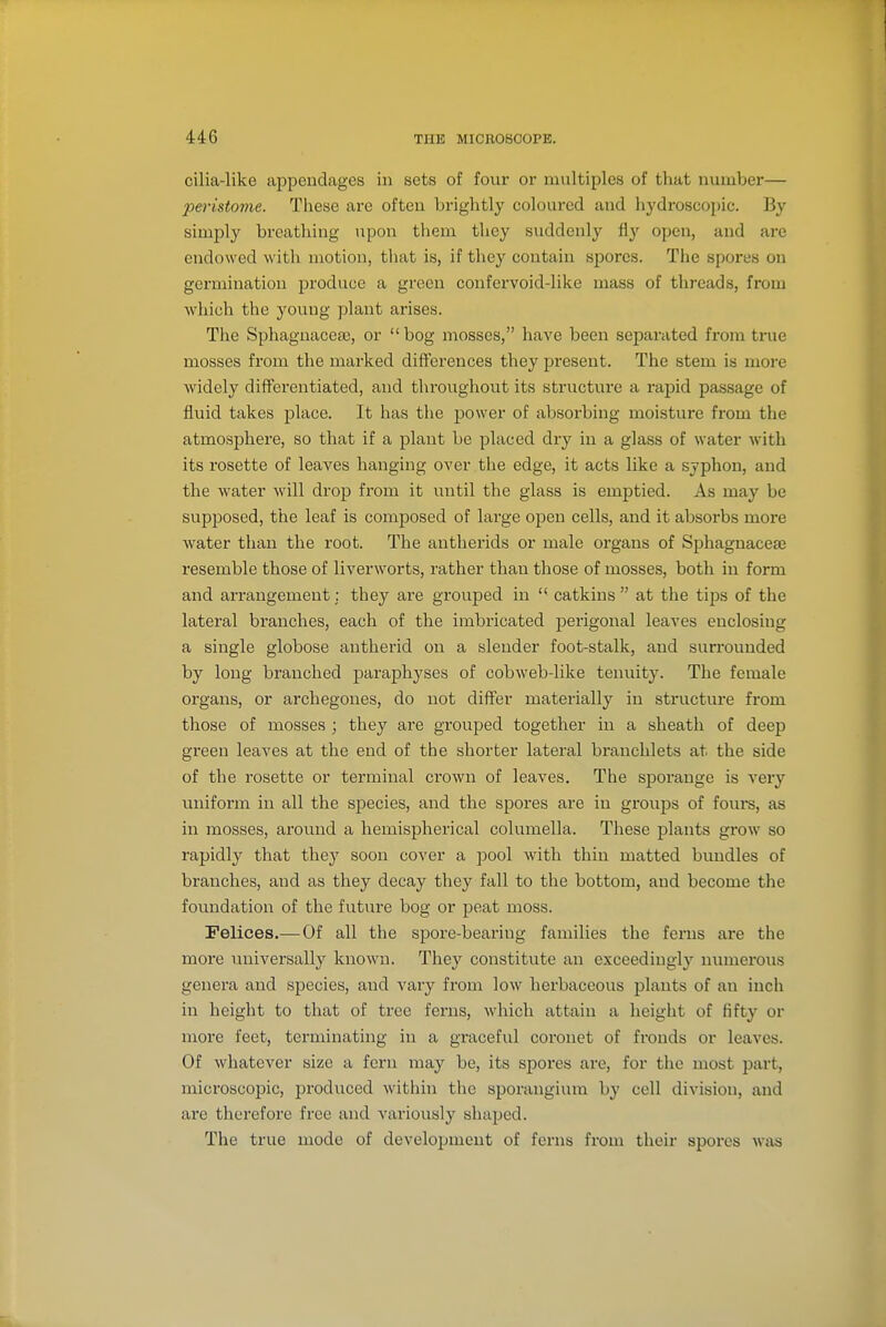 cilia-like appendages in sets of four or multiples of that number— pei'istome. These are often brightly coloured and hydroscopic. By simjjly breathing upon them they suddenly fly open, and are endowed with motion, that is, if they contain spores. The spores on germination produce a green confervoid-like mass of threads, from which the young plant arises. The Sphagnacea), or bog mosses, have been separated from true mosses from the marked differences they pi-esent. The stem is more widely differentiated, and throughout its structure a rapid passage of fluid takes place. It has the power of absorbing moisture from the atmosphere, so that if a plant be placed dry in a glass of water with its rosette of leaves hanging over the edge, it acts like a syphon, and the water will drop from it until the glass is emptied. As may be supposed, the leaf is composed of large open cells, and it absorbs more water than the root. The antherids or male organs of Sphagnacese resemble those of liverworts, rather than those of mosses, both in form and ari'angement: they are grouped in  catkins  at the tips of the lateral branches, each of the imbricated perigonal leaves enclosing a single globose antherid on a slender foot-stalk, and surrounded by long branched paraphyses of cobweb-like tenuity. The female organs, or archegones, do not differ materially in structure from those of mosses ; they are grouped together in a sheath of deep green leaves at the end of the shorter lateral branchlets at the side of the rosette or terminal crown of leaves. The sporange is very uniform in all the species, and the spores are in groups of fours, as in mosses, around a hemispherical columella. These plants grow so rapidly that they soon cover a pool with thin matted bundles of branches, and as they decay they fall to the bottom, and become the foundation of the future bog or peat moss. Felices.—Of all the spore-bearing families the ferns are the more universally known. They constitute an exceedingly numerous genera and species, and vary from low herbaceous plants of an inch in height to that of tree feras, which attain a height of fifty or more feet, terminating in a graceful coronet of fronds or leaves. Of whatever size a fern may be, its spores are, for the most part, microscopic, produced within the sporangium by cell division, and arc therefore free and variously shaped. The true mode of development of ferns from their siDoros was