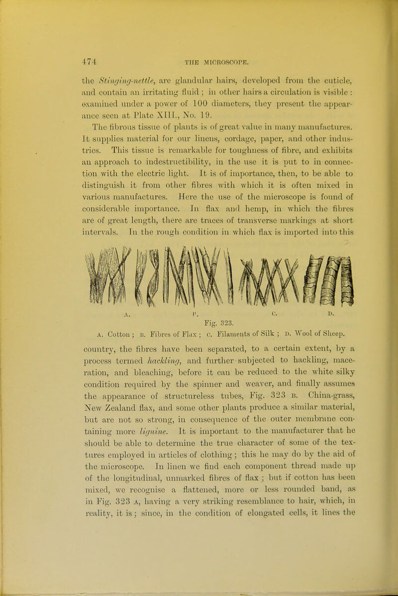 the Stinfiing-nettle, are glandular hairs, developed from the cuticle, and contain an irritating fluid ; in other hairs a circulation is visible : examined under a power of 100 diameters, they present the appear- ance seen at Plate XIII., No. 19. Tiic fibrous tissue of plants is of great value in many manufactures, it supplies material for our linens, cordage, paper, and other indus- tries. This tissue is remarkable for toughness of fibre, and exhibits an approach to indestructibility, in the use it is put to in connec- tion with the electric light. It is of importance, then, to be able to distinguish it from other fibres witli which it is often mixed in various manufactures. Here the use of the microscope is found of considerable importance. In flax and hemp, in which the fibres are of great length, there are traces of transverse markhigs at short intervals. In the rough condition in which flax is imported into this A. 1'. t'- D- Fig. 323. A. Cotton ; B. Fibres of Flax ; c. Filaments of Silk ; i). AVool of Sheep. country, the fibres have been separated, to a certain extent, by a process termed hackling, and further subjected to hackling, mace- ration, and bleaching, before it can be reduced to the white silky condition required by the spinner and weaver, and finally assumes the appearance of structureless tubes, Fig. 323 u. China-grass, New Zealand flax, and some other plants produce a similar material, but are not so strong, in consequence of the outer membrane con- taining more Uynine. It is important to the manufacturer tliat he should be able to determine the true character of some of the tex- tures employed in articles of clothing; this he may do by the aid of the microscope. In linen we find each component thread made up of the longitudinal, unmarked fibres of flax ; but if cotton has been mixed, we recognise a flattened, more or less rounded band, as in Fig. 323 a, having a very striking resemblance to hair, which, in reality, it is; since, in the condition of elongated cells, it lines the