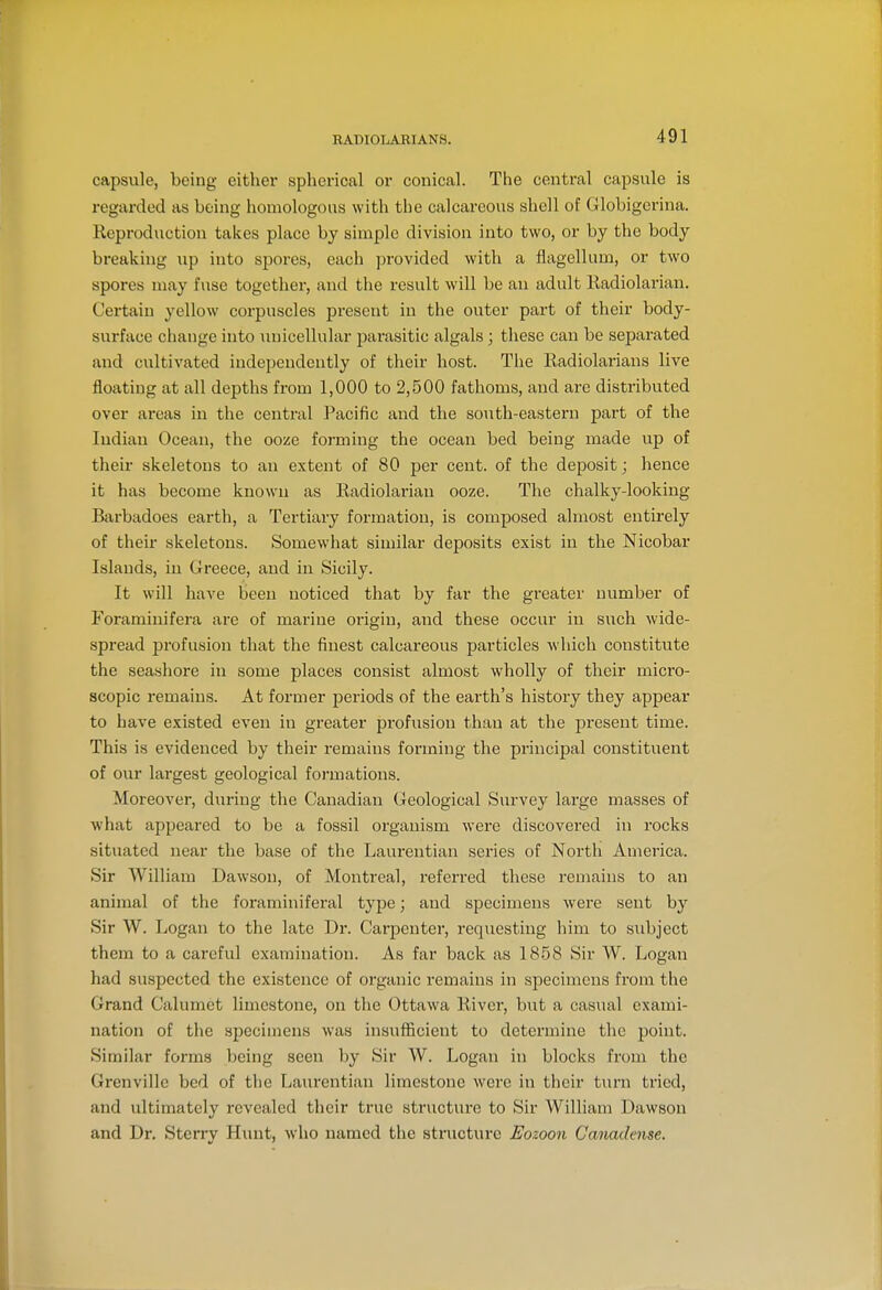 RABIOLARIANS. capsule, being either spherical or conical. The central capsule is regarded as being homologous with the calcareous shell of Globigerina. Reproduction takes place by simple division into two, or by the body breaking up into spores, each provided with a flagellum, or two spores may fuse together, and the result will be an adult Eadiolarian. Certain yellow corpuscles present in the outer part of their body- surface change into unicellular parasitic algals; these can be separated and cultivated independently of their host. The Radiolariaus live floating at all depths from 1,000 to 2,500 fathoms, and are distributed over areas in the central Pacific and the south-eastern part of the Indian Ocean, the ooze forming the ocean bed being made vip of their skeletons to an extent of 80 per cent, of the deposit; hence it has become known as Radiolariau ooze. The chalky-looking Barbadoes earth, a Tertiary formation, is composed almost entirely of their skeletons. Somewhat similar deposits exist in the Nicobar Islands, in Greece, and in Sicily. It will have been noticed that by far the greater number of Foraminifera are of marine origin, and these occur in such wide- spread profusion that the finest calcareous particles which constitute the seashore in some places consist almost wholly of their mici'o- scopic remains. At former periods of the earth's history they appear to have existed even in greater pi-ofusion than at the present time. This is evidenced by their remains forming the principal constituent of our largest geological formations. Moreover, during the Canadian Geological Survey large masses of what appeared to be a fossil organism were discovered in rocks situated near the base of the Laurentian series of North America. Sir William Dawson, of Montreal, referred these remains to an animal of the foraminiferal type; and specimens were sent by Sir W. Logan to the late Dr. Carpenter, requesting him to subject them to a careful examination. As far back as 1858 Sir W. Logan had suspected the existence of organic remains in specimens from the Grand Calumet limestone, on the Ottawa River, but a casual exami- nation of the specimens was insufficient to determine the point. Similar forms being seen by Sir W. Logan in blocks from the Grenvillc bed of the Laurentian limestone were in their turn tried, and ultimately revealed their true structure to Sir William Dawson and Dr, Stcrry Hunt, who named the structure Eozoon Ganadense.