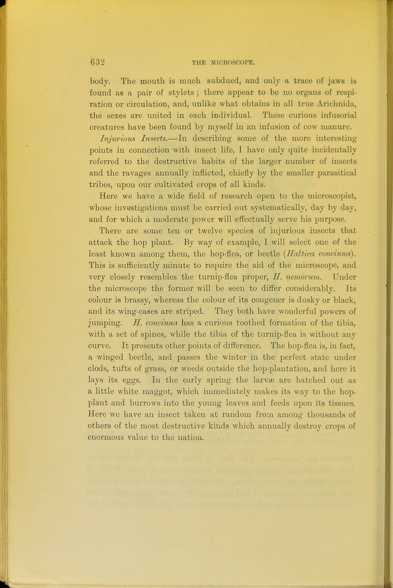body. The mouth is much subdued, and only a trace of jaws is found as a pair of stylets ; there appear to be no organs of respi- ration or circulation, and, unlike what obtains in all true Arichnida, the sexes are united in each individual. These curious infusorial creatures have been found by myself in an infusion of cow manure. Injtirious Insects.—In describing some of the more interesting points in connection with insect life, I have only quite incidentally referred to the destructive habits of the larger number of insects and the ravages annually inflicted, chiefly by the smaller parasitical tribes, upon our cultivated crops of all kinds. Here we have a wide field of reseai'ch open to the microscopist, whose investigations must be carried out systematically, day by day, and for which a moderate' power will effectually serve his purpose. There are some ten or twelve species of injurious insects that attack the hop plant. By way of example, I will select one of the least known among them, the hop-flea, or beetle (Haltica concinna). This is sufficiently minute to require the aid of the microscope, and very closely resembles the turnijj-flea proper, H. nemorum. Under the microscope the former will be seen to differ considerably. Its colour is brassy, whereas the colour of its congener is dusky or black, and its wing-cases are striped. They both have wonderful powers of jumping. H. concinna has a curious toothed formation of the tibia, with a set of spines, while the tibia of the turnip-flea is without any curve. It presents other points of difference. The hop-flea is, in fact, a Avinged beetle, and passes the winter in the perfect state imder clods, tufts of grass, or weeds outside the hop-plantation, and here it lays its eggs. In the early sjjring the larvae are hatched out as a little white maggot, which immediately makes its way to the hop- plant and burrows into the young leaves and feeds upon its tissues. Here we have an insect taken at random from among thousands of others of the most destructive kinds which annually destroy crops of enormous value to the nation.