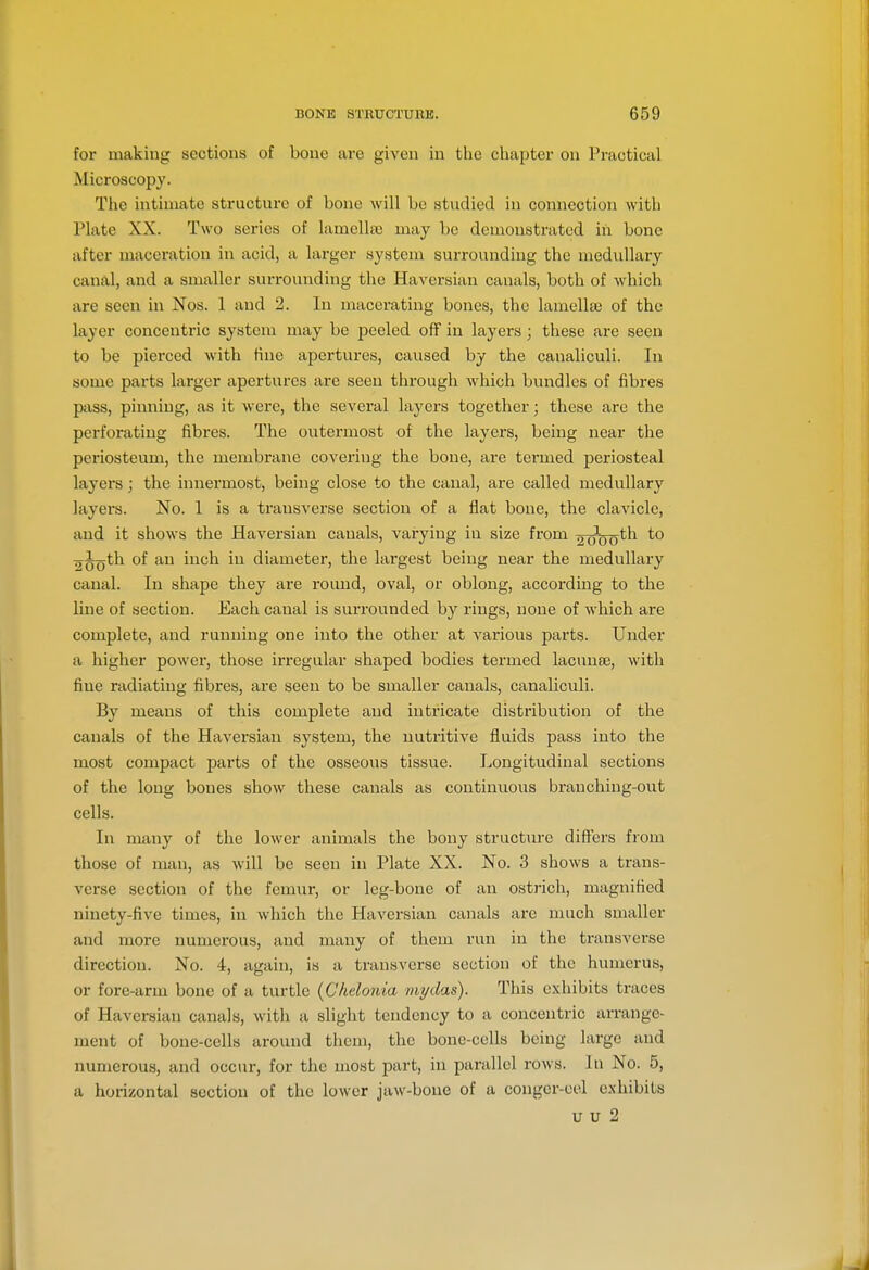 for making sections of bone are given in the chapter on Practical Microscopy. The intimate structure of bone will be studied in connection with Plate XX. Two series of lamellae may be demonstrated iii bone after maceration in acid, a larger system surrounding the medullary canal, and a smaller surrounding the Haversian canals, both of which are seen in Nos. 1 and 2. In macerating bones, the lamellse of the layer concentric system may be peeled off in layers; these are seen to be pierced with tine apertures, caused by the canaliculi. In some parts larger apertures are seen through which bundles of fibres pass, pinning, as it were, the several layers together; these are the perforating fibres. The outermost of the layers, being near the periosteum, the membrane covering the bone, are termed periosteal layers; the innermost, being close to the canal, are called medullary layers. No. 1 is a transverse section of a flat bone, the clavicle, and it shows the Haversian canals, varying in size from ^oooth to 2^th of an inch in diameter, the largest being near the medullary canal. In shape they are round, oval, or oblong, according to the line of section. Each canal is surrounded by rings, none of which are complete, and running one into the other at various parts. Under a higher power, those irregular shaped bodies termed lacunfe, with fine radiating fibres, are seen to be smaller canals, canaliculi. By means of this complete and intricate distribution of the canals of the Haversian system, the nutritive fluids pass into the most compact parts of the osseous tissue. Longitudinal sections of the long bones show these canals as continuous branching-out cells. In many of the lower animals the bony structure differs from those of man, as will be seen in Plate XX. No. 3 shows a trans- verse section of the femur, or leg-bone of an ostrich, magnified ninety-five times, in which the Haversian canals are much smaller and more numerous, and many of them run in the transverse direction. No. 4, again, is a transverse section of the humerus, or fore-arm bone of a turtle {Chdonia mydas). This exhibits traces of Haversian canals, Avith a sliglit tendency to a concentric an-ange- ment of bone-cells around them, the bone-cells being large and numerous, and occur, for the most part, in parallel rows. 1 n No. 5, a horizontal section of the lower jaw-bone of a conger-eel exhibits u U 2