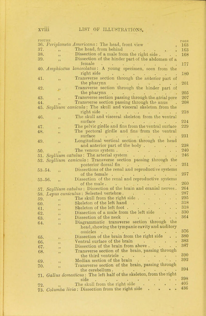 PinURE PACK SG, Peri2)laneta Americana: The he&d, front Yiew . 163 37. ,, The head, from behind 163 38. „ Dissection of a male from the right side . . . 168 39. ,, Dissection of the hinder part of the abdomen of a female ........ 177 40. Amphioxm lanceolakis: A young specimen, seen from the right side 180 41. ,, Transverse section through the anterior part of the pharynx 201 42. „ Transverse section through the hinder part of the pharynx 205 43. ,, Transverse section passing through the atrial pore 207 44. „ Transverse section passing through the anus . 208 45. Scyllium canicula: The skull and visceral skeleton from the right side . . . _ 218 46. „ The skull and visceral skeleton from the ventral surface 224 47. „ The pelvic girdle and fins from the ventral surface 229 48. „ The pectoral girdle and fins from the ventral surface 231 49. „ Longitudinal vertical section through the head and anterior part of the body .... 238 50. ,, The venous system 240 51. Scyllium catulus : The arterial system 246 52. Scyllium canicula: Transverse section passing through the posterior dorsal fin 251 53-54. „ Dissections of the renal and reproductive systems of the female 257 55-56. „ Dissection of the renal and reproductive systems of the male 260 57. Scyllium catuhis : Dissection of the brain and cranial nerves. 264 58. Lepus cuniculus : Selected vertebras 287 59. The skull from the right side 295 60 „ Skeleton of the left hand 318 61! „ Skeleton of the left foot 318 62. „ Dissection of a male from the left side . . 330 63. „ Dissection of the neck 364 g4. Diagrammatic transverse section through the head, showing the tympanic cavity and auditory ossicles ........ 376 66. ,, Dissection of the brain from the right side . . 380 66. „ Ventral surface of the brain .... 383 67. „ Dissection of the brain from above . . . . 387 68. „ Transverse section of the brain, passing through the third ventricle 390 69. „ Median section of the brain 392 70. „ Transverse section of the brain, passing through the cerebellum 394 71. Oallus domesticus : The left half of the skeleton, from the right side 398 72. „ The skull from the right side .... 405 73. Cohimba livia: Dissection from the right side . . . . 436