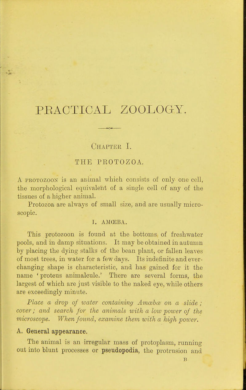 PEAOTICAL ZOOLOGY. Chapter I. THE PROTOZOA. A PROTOZOON is an animal which consists of only one cell, the morphological equivalent of a single cell of any of the tissues of a higher animal. Protozoa are always of small size, and are usually micro- scopic. I. AMOEBA. This protozoon is found at the bottoms of freshwater pools, and in damp situations. It may be obtained in autumn by placing the dying stalks of the bean plant, or fallen leaves of most trees, in water for a few days. Its indefinite and ever- changing shape is characteristic, and has gained for it the name ' proteus animalcule.' There are several forms, the largest of which are just visible to the naked eye, while others are exceedingly minute. Place a drop of luater containing Amcohcs, on a slide; cover; and search for the animals with a low poioer of the microscope. When found, examine them with a high poioer. A. General appearance. The animal is an irregular mass of protoplasm, running out into blunt processes or pseudopodia, the protrusion and