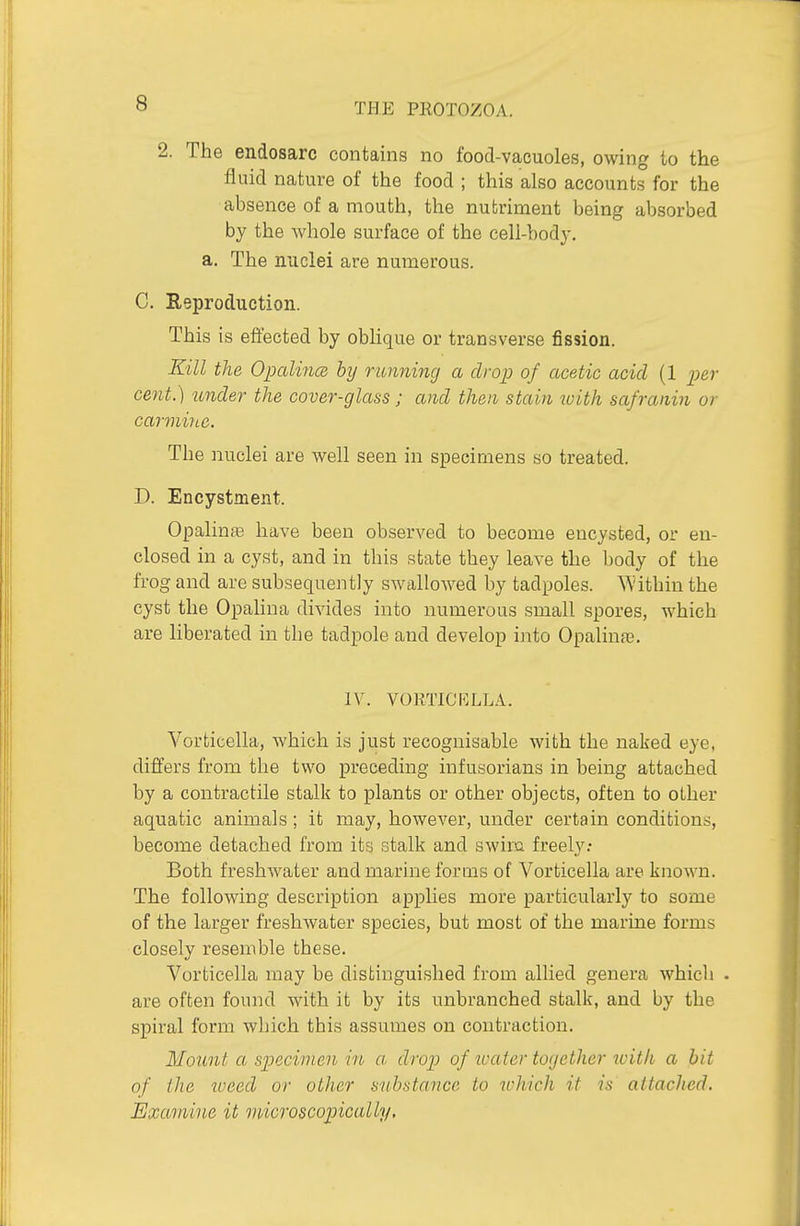 2. The endosarc contains no food-vacuoles, owing io the fluid nature of the food ; this also accounts for the absence of a mouth, the nutriment being absorbed by the whole surface of the cell-body, a. The nuclei are numerous. C. Reproduction. This is eft'ected by oblique or transverse fission. Kill the Opalines by running a drop of acetic acid (1 per cent.) under the cover-glass; and then stain with safranin or carmihc. The iiuclei are well seen in specimens so treated. D. Encystment. Opalinje have been observed to become encysted, or en- closed in a cyst, and in this state they leave the body of the frog and are subsequently swallowed by tadpoles. 'W'ithin the cyst the Opalina divides into numerous small spores, which are liberated in the tadpole and develop into OpalinoB. IV. vortici':lla. Vorticella, which is just recognisable with the naked eye, differs from the two preceding infusorians in being attached by a contractile stalk to plants or other objects, often to other aquatic animals ; it may, however, under certain conditions, become detached from its stalk and swira freely.- Both freshwater and marine forms of Vorticella are known. The following description applies more particularly to some of the larger freshwater species, but most of the marine forms closely resemble these. Vorticella may be distinguished from allied genera which . are often found with it by its unbranched stalk, and by the spiral form which this assumes on contraction. MoiLut a specimen in a drop of ivater together loith a hit of ihe loeed or other substance io which it is attached. Examine it viicroscopically.