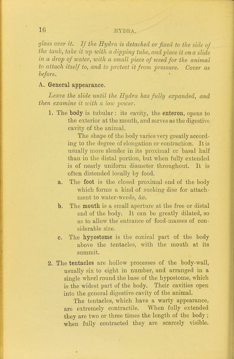 glass over it. If the Hydra is detached or fixed to the side of the tank, take it iip loitli a dipping tube, and place it on a slide in a drop of water, luith a small piece of weed for the animal to attach itself to, and to protect it from pressure. Cover as before. A. General appearance. Leave the slide until the Hydra has fiilly expanded, and then examine it with a loiv potver. 1. The body is tubular : its cavity, tbe enteron, opens to the exterior at the moutli, and serves as the digestive cavity of the animaL The shape of the body varies very greatly accord- ing to the degree of elongation or contraction. It is usually more slender in its proximal or basal half than in the distal portion, but when fully extended is of nearly uniform diameter throughout. It is often distended locally by food. a. The foot is the closed proximal end of the body which forms a kind of sucking disc for attach- ment to water-weeds, &c. b. The mouth is a small aperture at the free or distal end of the body. It can be greatly dilated, so as to allow the entrance of food-masses of con- siderable size. c. The hypostome is the conical part of the body above the tentacles, with the mouth at its summit. 2. The tentacles are hollow processes of the body-wall, usually six to eight in number, and arranged in a single whorl round the base of the hypostome, which is the widest part of the body. Their cavities open into the general digestive cavity of the animal. The tentacles, which have a warty appearance, are extremely contractile. When fully extended they are two or three times the length of the body ; when fully contracted they are scarcely visible.