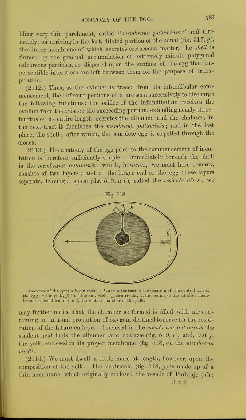 ANATOMY OF THE EGG. bling very thin parchment, called  membrana putaminisf and ulti- mately, on arriving in the last, dilated portion of the canal (fig. 517, g), the lining membrane of -which secretes cretaceous matter, the shell is formed by the gradual accumulation of extremely minute polygonal cdcareous particles, so disposed upon the surface of the egg that im- perceptible interstices are left between them for the purpose of trans- piration. (2112.) Thus, as the oviduct is traced from its infundibular com- mencement, the different portions of it are seen successively to discharge the following functions: the orifice of the infundibulum receives the ovulum from the ovisac; the succeeding portion, extending nearly three- fourths of its entire length, secretes the albumen and the chalazae; in the next tract it furnishes the membrana putaminis; and in the last place, the shell; after which, the complete egg is expelled through the cloaca, (2113.) The anatomy of the egg prior to the commencement of incu- bation is therefore sufficiently simple. Immediately beneath the shell is the membrana putaminis ; which, however, we must here remark, consists of two layers ; and at the larger end of the egg these layers separate, leaving a space (fig. 518, a h), called the vesicula aeris; we Fig. 518. Anatomy of the ej^^ : a b, air-vesicle; b, arrow indicatiiif? the position of the central axis of the egg; c, the yelk; /, Purkinjean vesicle; ff, cieatricula; h, thickening of the vitelline mem- brane ; e, canal leading to d, the central chamber of the yelk. may further notice that the chamber so formed is filled with air con- taining an unusual proportion of oxygen, destined to serve for the respi- ration of the future embryo. Enclosed in the membrana putaminis the student next finds the albumen and chalazas (fig. 519, c), and, lastly, the yeUc, enclosed in its proper membrane (fig. 518, c), the membrana vitelli. (2114.) We must dwell a little more at length, however, upon the composition of the yelk. The cieatricula (fig. 518, g) is made up of a thin membrane, which originally enclosed the vesicle of Purkinje (/); 3 E 2