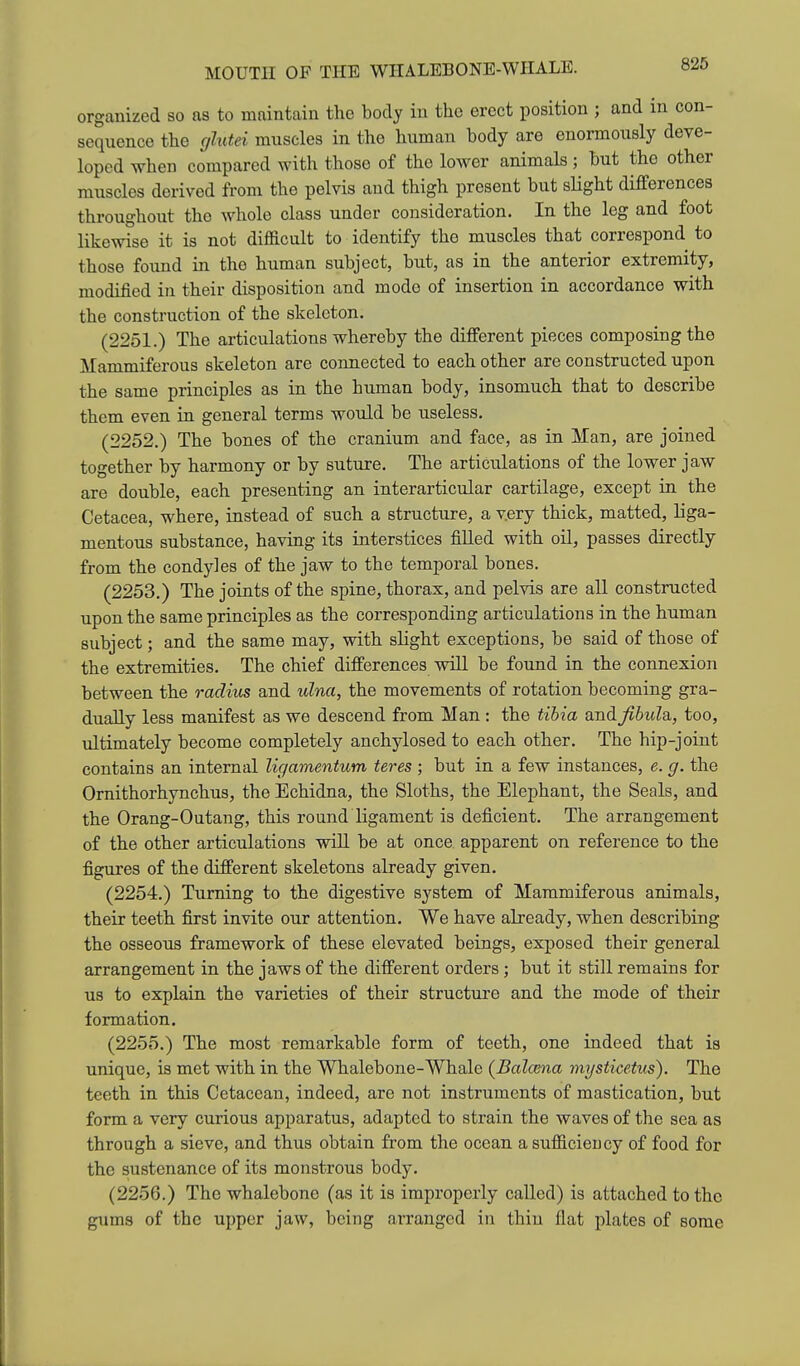 MOUTH OF THE WHALEBONE-WHALE. organized so as to maintain the body iu the erect position ; and in con- sequence the glutei muscles in the human body are enormously deve- loped when compared with those of the lower animals; but the other muscles derived from the pelvis and thigh present but sUght differences throughout the whole class under consideration. In the leg and foot likewise it is not difficult to identify the muscles that correspond to those found in the human subject, but, as in the anterior extremity, modified in their disposition and mode of insertion in accordance with the construction of the skeleton. (2251.) The articulations whereby the different pieces composing the Mammiferous skeleton are connected to each other are constructed upon the same principles as in the human body, insomuch that to describe them even in general terms would be useless. (2252.) The bones of the cranium and face, as in Man, are joined together by harmony or by suture. The articulations of the lower jaw are double, each presenting an interarticular cartilage, except in the Cetacea, where, instead of such a structure, a very thick, matted, liga- mentous substance, having its interstices filled with oil, passes directly from the condyles of the jaw to the temporal bones. (2253.) The joints of the spine, thorax, and pelvis are all constructed upon the same principles as the corresponding articulations in the human subject; and the same may, with slight exceptions, be said of those of the extremities. The chief differences will be found in the connexion between the radius and ulna, the movements of rotation becoming gra- dually less manifest as we descend from Man : the tibia and jthulsi, too, ultimately become completely anchylosed to each other. The hip-joint contains an internal ligamentum teres ; but in a few instances, e. g. the Ornithorhynchus, the Echidna, the Sloths, the Elephant, the Seals, and the Orang-Outang, this round ligament is deficient. The arrangement of the other articulations will be at once apparent on reference to the figures of the different skeletons already given. (2254.) Turning to the digestive system of Mammiferous animals, their teeth first invite our attention. We have already, when describing the osseous framework of these elevated beings, exposed their general arrangement in the jaws of the different orders; but it still remains for us to explain the varieties of their structure and the mode of their formation. (2255.) The most remarkable form of teeth, one indeed that is unique, is met with in the Whalebone-Whale (Balcena mysticetus). The teeth in this Cetacean, indeed, are not instruments of mastication, but form a very curious apparatus, adapted to strain the waves of the sea as through a sieve, and thus obtain from the ocean a sufficiency of food for the sustenance of its monstrous body. (2256.) The whalebone (as it is improperly called) is attached to the gums of the upper jaw, being arranged in thin flat plates of some