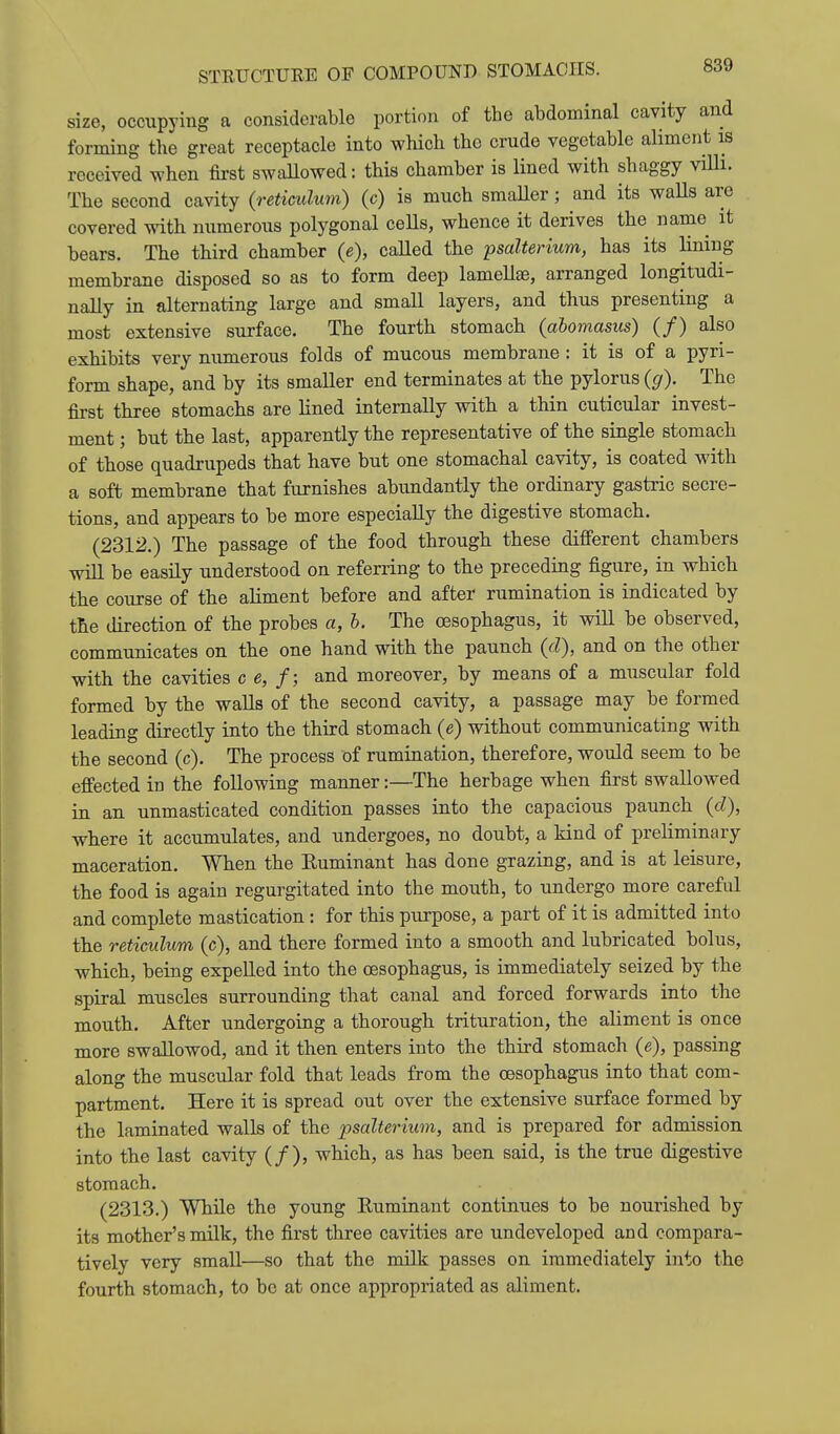 size, occupying a considerable portion of the abdominal cavity and forming the great receptacle into which the crude vegetable aliment is received when first swallowed: this chamber is lined with shaggy viUi. The second cavity {reticulum) (c) is much smaUer; and its waUs are covered with numerous polygonal ceUs, whence it derives the name it bears. The third chamber (e), called the psalterium, has its lining membrane disposed so as to form deep lameUse, arranged longitudi- nally in alternating large and small layers, and thus presenting a most extensive surface. The fourth stomach (abomasus) (/) also exhibits very numerous folds of mucous membrane: it is of a pyri- form shape, and by its smaller end terminates at the pylorus (g). The first three stomachs are lined internally with a thin cuticular invest- ment ; but the last, apparently the representative of the single stomach of those quadrupeds that have but one stomachal cavity, is coated with a soft membrane that furnishes abundantly the ordinary gastric secre- tions, and appears to be more especially the digestive stomach. (2312.) The passage of the food through these difi'erent chambers will be easily understood on referring to the preceding figure, in which the course of the aliment before and after rumination is indicated by the direction of the probes a, h. The oesophagus, it will be observed, communicates on the one hand with the paunch {d), and on the other with the cavities ce, f; and moreover, by means of a muscular fold formed by the walls of the second cavity, a passage may be formed leading directly into the third stomach (e) without communicating with the second (c). The process of rumination, therefore, would seem to be effected in the following manner;—The herbage when first swallowed in an unmasticated condition passes into the capacious paunch (cZ), where it accumulates, and undergoes, no doubt, a kind of preliminary maceration. When the Euminant has done grazing, and is at leisure, the food is again regurgitated into the mouth, to undergo more careful and complete mastication : for this purpose, a part of it is admitted into the reticulum (c), and there formed into a smooth and lubricated bolus, which, being expelled into the oesophagus, is immediately seized by the spiral muscles surrounding that canal and forced forwards into the mouth. After undergoing a thorough trituration, the aliment is once more swallowod, and it then enters into the third stomach (e), passing along the muscular fold that leads from the oesophagus into that com- partment. Here it is spread out over the extensive surface formed by the laminated walls of the psalterium, and is prepared for admission into the last cavity (/), which, as has been said, is the true digestive stomach. (2313.) While the young Ruminant continues to be nourished by its mother's milk, the first three cavities are undeveloped and compara- tively very small—so that the milk passes on immediately into the fourth stomach, to be at once appropriated as aliment.