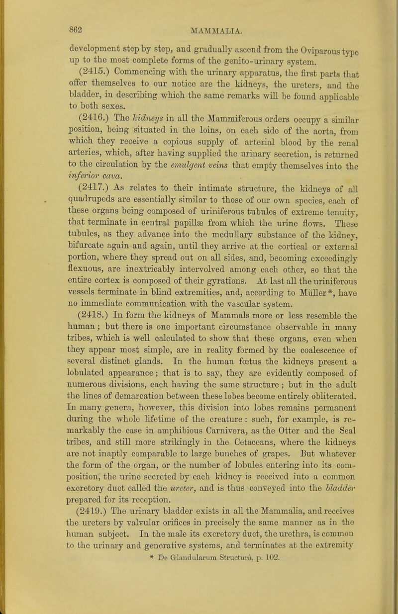 development step by step, and gradually ascend from the Oviparous type up to the most complete forms of the genito-urinary system. (2415.) Commencing with the urinary apparatus, the first parts that offer themselves to our notice are the kidneys, the ureters, and the bladder, in describing which the same remarks will be found applicable to both sexes. (2416.) The Icidneys in all the Mammiferous orders occupy a similar position, being situated in the loins, on each side of the aorta, from which they receive a copious supply of arterial blood by the renal arteries, which, after having supplied the urinary secretion, is returned to the circulation by the emulgent veins that empty themselves into the inferior cava. (2417.) As relates to their intimate structure, the kidneys of all quadrupeds are essentially similar to those of our own species, each of these organs being composed of uriniferous tubules of extreme tenuity, that terminate in central papillas from which the urine flows. These tubules, as they advance into the medullary substance of the kidney, bifurcate again and again, until they arrive at the cortical or external portion, where they spread out on all sides, and, becoming exceedingly flexuous, are inextricably intervolved among each other, so that the entire cortex is composed of their gyrations. At last all the uriniferous vessels terminate in blind extremities, and, according to Miiller*, have no immediate communication with the vascular system. (2418.) In form the kidneys of Mammals more or less resemble the human; but there is one important circumstance observable in many tribes, which is well calculated to show that these organs, even when they appear most simple, are in reality formed by the coalescence of several distinct glands. In the human foetus the kidneys present a lobulated appearance; that is to say, they are evidently composed of numerous divisions, each having the same structure; but in the adult the lines of demarcation between these lobes become entirely obliterated. In many genera, however, this division into lobes remains permanent during the whole lifetime of the creature : such, for example, is re- markably the case in amphibious Carnivora, as the Otter and the Seal tribes, and still more strikingly in the Cetaceans, where the kidneys are not inaptly comparable to large bunches of grapes. But whatever the form of the organ, or the number of lobules entering into its com- position, the urine secreted by each kidney is received into a common excretory duct called the ureter, and is thus conveyed into the bladder prepared for its reception. (2419.) The urinary bladder exists in aU the Mammalia, and receives the ureters by valvular orifices in precisely the same manner as in the human subject. In the male its excretory duct, the urethra, is common to the urinary and generative systems, and terminates at the extremity * De Glandularum Structura, p. 102.