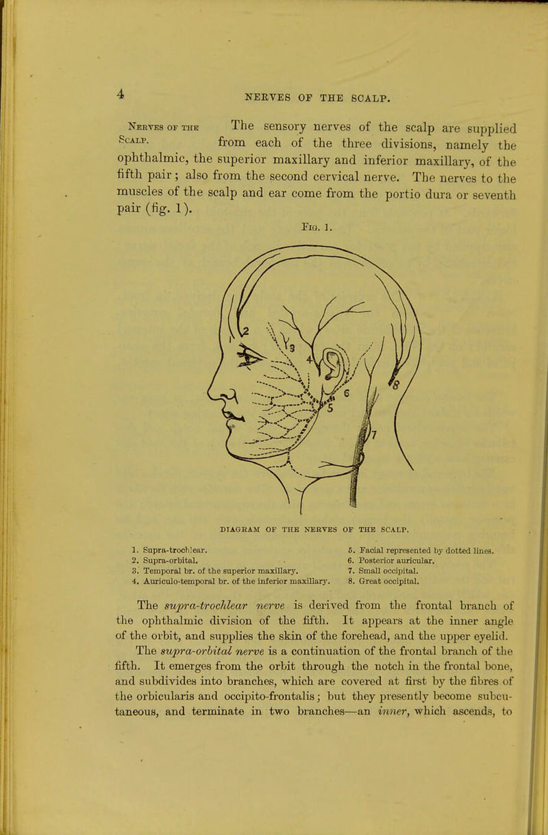 Nerves of the The sensory nerves of the scalp are supplied Scalp. from each of the three divisions, namely the ophthalmic, the superior maxillary and inferior maxillary, of the fifth pair ; also from the second cervical nerve. The nerves to the muscles of the scalp and ear come from the portio dura or seventh pair (fig. 1). Fio. 1. DIAGBAM OF THE NERVES OF THE SCALP. 1. Supra-troch!ear. 2. Supra-orbital, 3. Temporal br. of the superior maxillary. 4. Auriculo-temporal br. of the inferior maxillary. 5. Facial represented by dotted lines. 6. Posterior auricular. 7. Small occipital. 8. Great occipital. The supra-trochlear nerve is derived from the frontal branch of the ophthalmic division of the fifth. It appears at the inner angle of the orbit, and supplies the skin of the forehead, and the upper eyelid. The supra-orbital nerve is a continuation of the frontal branch of the fifth. It emerges from the orbit through the notch in the frontal bone, and subdivides into branches, which are covered at first by the fibres of the orbicularis and occipito-frontalis; but tliey presently become subcu- taneous, and terminate in two branches—an inner, which ascends, to