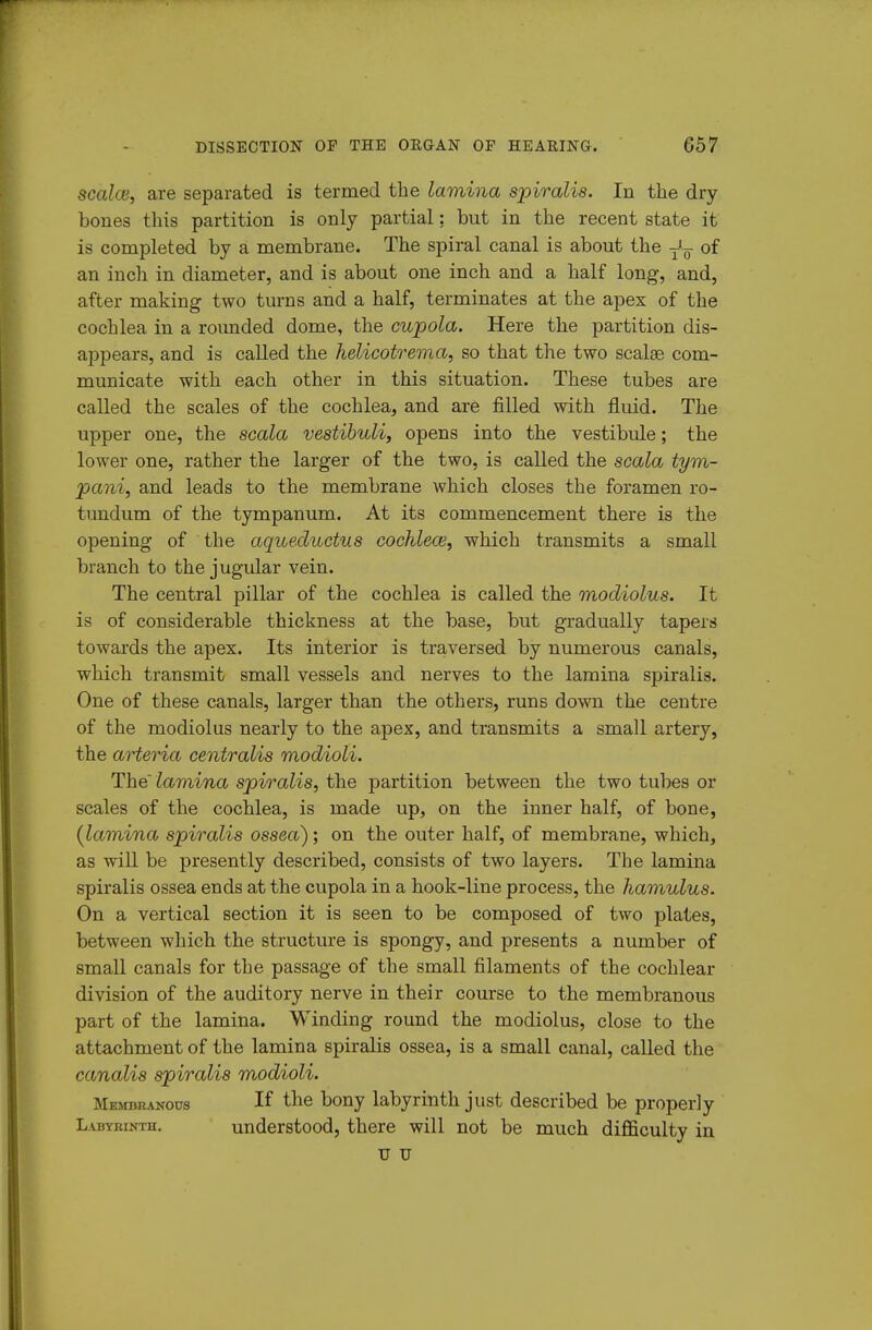 scalce, are separated is termed the lamina spiralis. In the dry bones this partition is only partial; but in the recent state it is completed by a membrane. The spiral canal is about the -J^ of an incli in diameter, and is about one inch and a half long, and, after making two turns and a half, terminates at the ajjex of the cochlea in a rounded dome, the cupola. Here the partition dis- appears, and is called the helicotrema, so that the two scal^ com- municate with each other in this situation. These tubes are called the scales of the cochlea, and are filled with fluid. The upper one, the scala vestibuli, opens into the vestibule; the lower one, rather the larger of the two, is called the scala tym- pani, and leads to the membrane which closes the foramen ro- tundum of the tympanum. At its commencement there is the opening of the aqueductus cochleae, which transmits a small branch to the jugular vein. The central pillar of the cochlea is called the modiolus. It is of considerable thickness at the base, but gradually tapers towards the apex. Its interior is traversed by numerous canals, which transmit small vessels and nerves to the lamina spiralis. One of these canals, larger than the others, runs down the centre of the modiolus nearly to the apex, and transmits a small artery, the arteria centralis modioli. The lamina spiralis, the partition between the two tubes or scales of the cochlea, is made up, on the inner half, of bone, {lamina spiralis os,sea); on the outer half, of membrane, which, as wiU. be presently described, consists of two layers. The lamina spiralis ossea ends at the cupola in a hook-line process, the hamulus. On a vertical section it is seen to be composed of two plates, between which the structure is spongy, and presents a number of small canals for the passage of the small filaments of the cochlear division of the auditory nerve in their course to the membranous part of the lamina. Winding round the modiolus, close to the attachment of the lamina spiralis ossea, is a small canal, called the canalis spiralis modioli. Mejibranous If the bony labyrinth just described be properly Labyrinth. understood, there will not be much difficulty in u u