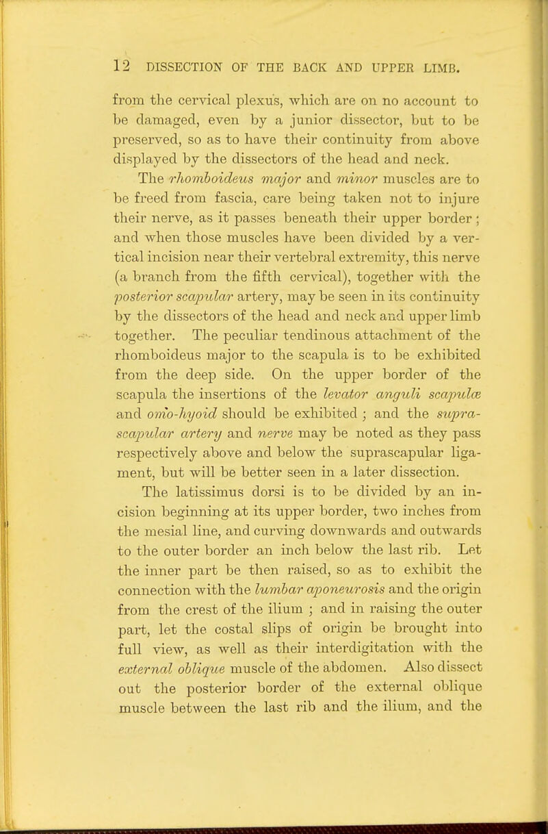 from the cervical plexus, which, are on no account to be damaged, even by a junior dissector, but to be preserved, so as to have their continuity from above displayed by the dissectors of the head and neck. The rhomboideus major and minor muscles are to be freed from fascia, care being taken not to injure their nerve, as it passes beneath their upper border; and when those muscles have been divided by a ver- tical incision near their vertebral extremity, this nerve (a branch fiom the fifth cervical), together witli the posterior scajmlar artery, may be seen in its continuity by the dissectors of the head and neck and upper limb together. The peculiar tendinous attachment of the rhomboideus major to the scapula is to be exhibited from the deep side. On the upper border of the scapula the insertions of the levator anguli scapulce and omo-hyoid should be exhibited ; and the supra- scapular artery and nerve may be noted as they pass respectively above and below the suprascapular liga- ment, but will be better seen in a later dissection. The latissimus dorsi is to be divided by an in- cision beginning at its upper border, two inches from the mesial line, and curving downAvards and outwards to the outer border an inch below the last rib. Let the inner part be then raised, so as to exhibit the connection with the lumbar aponeurosis and the origin from the crest of the ilium ; and in raising the outer part, let the costal slips of origin be brought into full view, as well as their interdigitation with the external oblique muscle of the abdomen. Also dissect out the posterior border of the external oblique muscle between the last rib and the ilium, and the