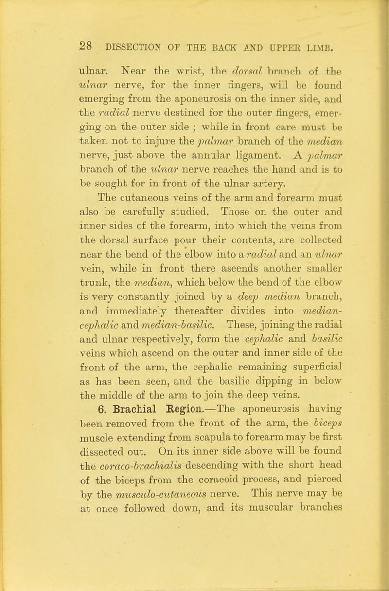ulnar. Near the wrist, the dorsal branch of the ulnar nerve, for the inner fingers, will be found emerging from the aponeurosis on the inner side, and the radial nerve destined for the outer fingers, emer- ging on the outer side ; while in front care must be taken not to injure the palmar branch of the median nerve, just above the annular ligament. A palmar branch of the ulnar nerve reaches the hand and is to be sought for in front of the ulnar artery. The cutaneous veins of the arm and forearm must also be carefully studied. Those on the outer and inner sides of the forearm, into which the veins from the dorsal surface pour their contents, are collected near the bend of the elbow into a radial and an idnar vein, while in front there ascends another smaller trunk, the median, which below the bend of the elbow is very constantly joined by a deep median branch, and immediately thereafter divides into median- cephalic and median-basilic. These, joining the radial and ulnar respectively, form the cephalic and basilic veins which ascend on the outer and inner side of the front of the arm, the cephalic remaining superficial as has been seen, and the basilic dipping in below the middle of the arm to join the deep veins. 6. Brachial Region.—The aponeurosis ha\'ing been removed from the front of the arm, the biceps muscle extending from scapula to forearm may be first dissected out. On its inner side above will be found the coraco-brachialis descending with the short head of the biceps from the coracoid process, and pierced by the musculo-cutaneous nerve. This nerve may be at once followed down, and its muscular branches