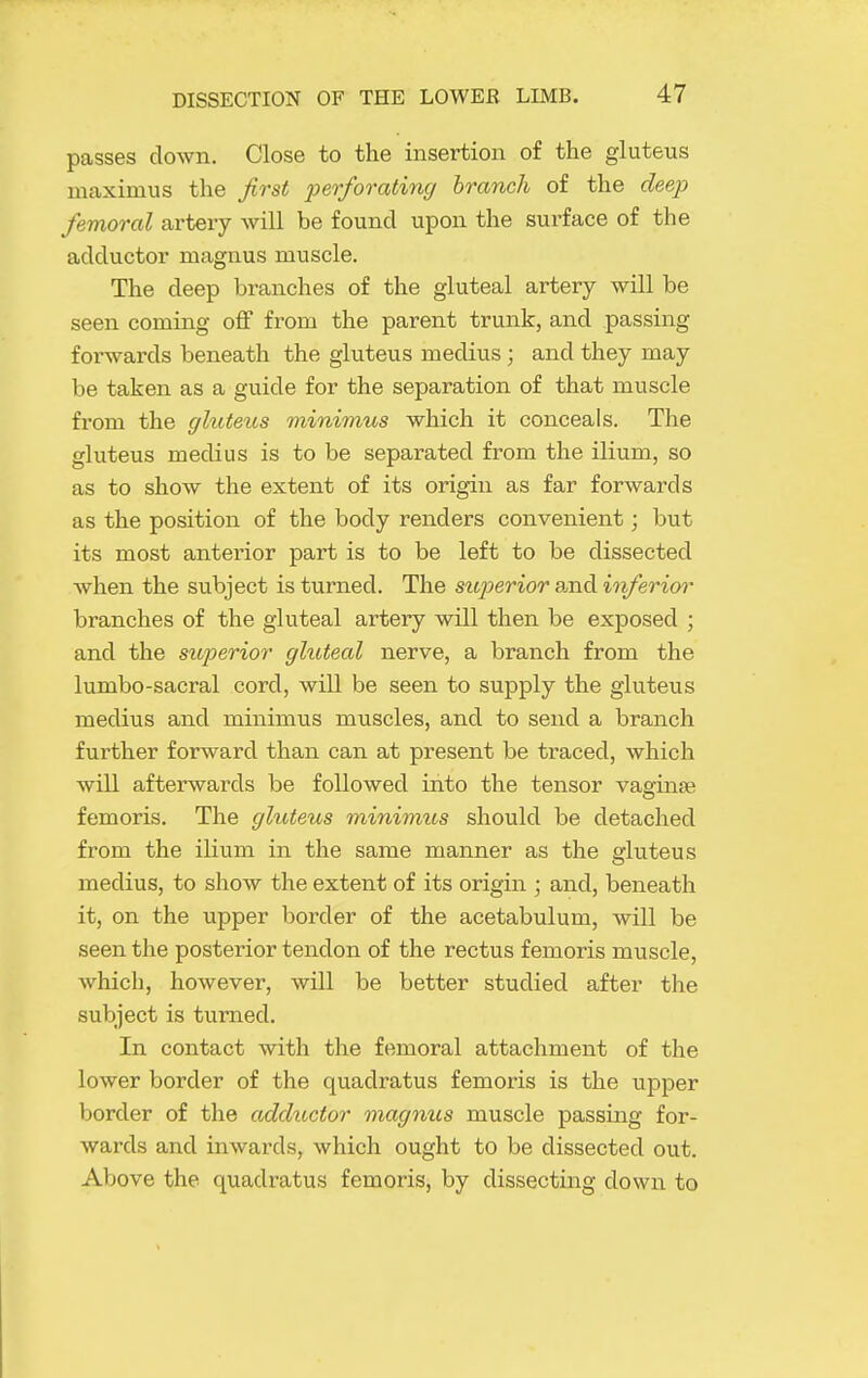 passes down. Close to the insertion of the gluteus maximus the first 'perforating branch of the deep femoral artery will be found upon the surface of the adductor magnus muscle. The deep branches of the gluteal artery will be seen coming off from the parent trunk, and passing forwards beneath the gluteus medius ; and they may be taken as a guide for the separation of that muscle from the gluteus minimus which it conceals. The gluteus medius is to be separated from the ilium, so as to show the extent of its origin as far forwards as the position of the body renders convenient; but its most anterior part is to be left to be dissected when the subject is turned. The siqjerior a,nd inferior branches of the gluteal artery will then be exposed ; and the superior gluteal nerve, a branch from the lumbo-sacral cord, will be seen to supply the gluteus medius and minimus muscles, and to send a branch further forward than can at present be traced, which will afterwards be followed into the tensor vaginae femoris. The gluteus minimus should be detached from the ilium in the same manner as the gluteus medius, to show the extent of its origin ; and, beneath it, on the upper border of the acetabulum, will be seen the posterior tendon of the rectus femoris muscle, which, however, will be better studied after the subject is turned. In contact with the femoral attachment of the lower border of the quadratus femoris is the upper border of the adductor magnus muscle passing for- wards and inwards, which ought to be dissected out. Above the quadratus femoris, by dissecting down to