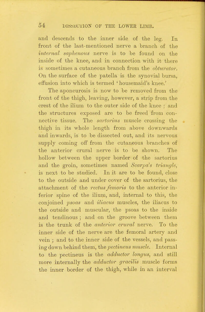 and descends to the inner side of the leg. In front of the last-mentioned nerve a branch of the internal sajjhenous nerve is to be found on the inside of the knee, and in connection with it there is sometimes a cutaneous branch from the obturator. On the surface of the patella is the synovial bursa, effusion into which is termed ' housemaid's knee.' The aponeurosis is now to be removed from the front of the thigh, leaving, however, a strip from the crest of the ilium to the outer side of the knee : and the structures exposed are to be freed from con- nective tissue. The sartorius muscle crossing the thigh in its whole length from above downwards and inwards, is to be dissected out, and its nervous supply coming off from the cutaneous branches of the anterior crural nerve is to be shown. The hollow between the upper border of the sartorius and the groin, sometimes named Scarpa^s triangle, is next to be studied. In it are to be found, close to the outside and under cover of the sartorius, the attachment of the rectus femoris to the anterior in- ferior spine of the ilium, and, internal to this, the conjoined j^soas and iliacus muscles, the iliacus to the outside and muscular, the psoas to the inside and tendinous ; and on the groove between them is the trunk of the anterior crural nerve. To the inner side of the nerve are the femoral artery and vein ; and to the inner side of the vessels, and pass- ing down behind them, the pectineiLS muscle. Internal to the pectineus is the adductor longus, and still more internally the adductor gracilis muscle forms the inner border of the thigh, while in an interval