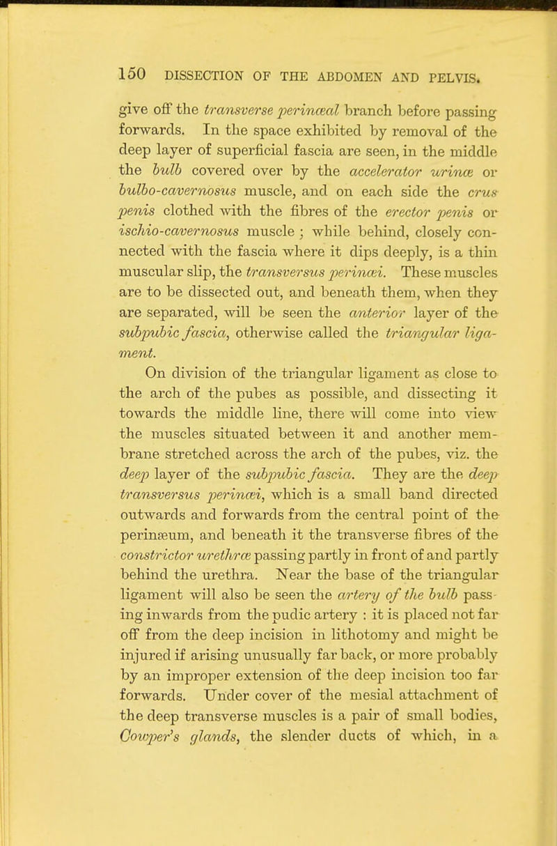 give off the transverse perinceal branch before passing forwards. In the space exhibited by removal of the deep layer of superficial fascia are seen, in the middle the bulb covered over by the accelerator urince or bulbo-cavernosus muscle, and on each side the crus jjenis clothed svith the fibres of the erector penis or iscMo-cavernosus muscle; while behind, closely con- nected with the fascia where it dips deeply, is a thin, muscular slip, the transversus perinoii. These muscles are to be dissected out, and beneath them, when they are separated, will be seen the anterior layer of the subpubic fascia, otherwise called the triangular liga- ment. On division of the triangular ligament as close to the arch of the pubes as possible, and dissecting it towards the middle line, there will come into view the muscles situated between it and another mem- brane stretched across the arch of the pubes, viz. the deep layer of the subp)ubic fascia. They are the deep transversus perincei, which is a small band directed outwards and forwards from the central point of the perinfeum, and beneath it the transverse fibres of the constrictor urethra} passing partly in front of and partly behind the urethra. Near the base of the triangular ligament will also be seen the artery of the bulb pass- ing inwards from the pudic artery : it is placed not far off from the deep incision in lithotomy and might be injured if arising unusually far back, or more probably by an improper extension of the deep incision too far forwards. Under cover of the mesial attachment of the deep transverse muscles is a pair of small bodies, GowjJer's glands, the slender ducts of wliich, in a