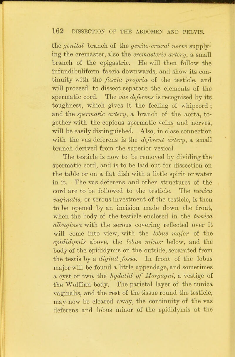the genital branch of the genito-crv/ral nerve supply- ing the cremaster, also the cremasteric artery, a small branch of the epigastric. He will then follow the infundibuliform fascia downwards, and show its con- tinuity with the fascia propria of the testicle, and will proceed to dissect separate the elements of the spermatic cord. The vas deferens is recognised by its toughness, which gives it the feeling of whipcord ; and the spermaPic artery, a branch of the aorta, to- gether with the copious spermatic veins and nerves, will be easily distinguished. Also, in close connection with the vas deferens is the deferent artery, a small branch derived from the superior vesical. The testicle is now to be removed by dividing the spermatic cord, and is to be laid out for dissection on the table or on a flat dish with a little spirit or water in it. The vas deferens and other structures of the cord are to be followed to the testicle. The tunica vaginalis, or serous investment of the testicle, is then to be opened by an incision made down the front, when the body of the testicle enclosed in the tunica alhuginea with the serous covering reflected over it will come into view, with the lobus major of the epididymis above, the lobus minor below, and the body of the epididymis on the outside, separated from the testis by a digital fossa. In front of the lobus major will be found a little appendage, and sometimes a cyst or two, the hydatid of Morgagni, a vestige of the Wolffian body. The parietal layer of the tunica vaginalis, and the rest of the tissue round the testicle, may now be cleared away, the continuity of the vas deferens and lobus minor of the epididymis at the