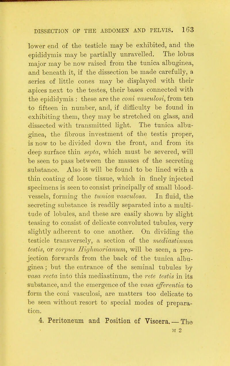 lower end of the testicle may be exhibited, and the epididymis may be partially unravelled. The lobus major may be now raised from the tunica albuginea, and beneath it, if the dissection be made carefully, a series of little cones may be displayed with their apices next to the testes, their bases connected with the epididymis : these are the coni vasculosi, from ten to fifteen in number, and, if difficulty be found in exhibiting them, they may be stretched on glass, and dissected with transmitted light. The tunica albu- ginea, the fibrous investment of the testis proper, is now to be divided down the front, and from its deep surface thin sei^ta, which must be severed, will be seen to pass between the masses of the secreting substance. Also it will be found to be lined with a thin coating of loose tissue, which in finely injected specimens is seen to consist principally of small blood- vessels, forming the tunica vasculosa. In fluid, the secreting substance is readily separated into a multi- tude of lobules, and these are easily shown by slight teasing to consist of delicate convoluted tubules, very slightly adherent to one another. On dividing the testicle transversely, a section of the mediastinum testis, or corpus Ilighmorianum, will be seen, a pro- jection forwards from the back of the tunica albu- ginea ; but the entrance of the seminal tubules by vasa recta into this mediastinum, the rete testis in its substance, and the emergence of the vasa efferentia to form the coni vasculosi, are matters too delicate to be seen without resort to special modes of prepara- tion. 4. Peritoneum and Position of Viscera. — The M 2
