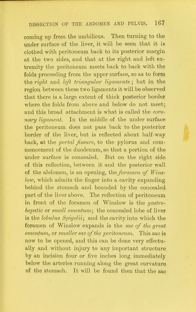 coming up from the umbilicus. Then turning to the under surface of the liver, it will be seen that it is clothed with peritoneum back to its posterior margin at the two sides, and that at the right and left ex- tremity the peritoiieum meets back to back with the folds proceeding from the upper surface, so as to form the right and left triangular ligaments; but in the region between these two ligaments it will be observed that there is a large extent of thick posterior border where the folds from above and below do not meet; and this broad attachment is what is called the coro- nary ligament. In the middle of the under surface the peritoneum does not pass back to the posterior border of the liver, but is reflected about half-way- back, at the 2^ortal fissure, to the pylorus and com- mencement of the duodenum, so that a portion of the under surface is concealed. But on the right side of this reflection, between it and the posterior wall of the abdomen, is an opening, the foramen of Wins- low, which admits the finger into a cavity expanding behind the stomach and bounded by the concealed part of the liver above. The reflection of peritoneum in front of the foramen of Winslow is the gastro- hepatic or small omentum; the concealed lobe of liver is the lobulus Spigelii; and the cavity into which the foramen of Winslow expands is the sac of the great omentum, or smaller sac of the peritoneum. This sac is now to be opened, and this can be done very effectu- ally and without injury to any important structure by an incision four or five inches long immediately below the arteries running along the great curvature of the stomach. It will be found then that the sac