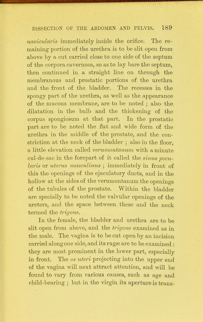 navicularis immediately inside the orifice. The re- maining portion of the urethra is to be slit open from above by a cut carried close to one side of the septum of the corpora cavernosa, so as to lay bare the septum, then continued in a straight line on through the membranous and prostatic portions of the urethra and the front of the bladder. The recesses in the spongy part of the urethra, as well as the appearance of the mucous membrane, are to be noted ; also the dilatation in the bulb and the thickening of the corpus spongiosum at that part. In the prostatic part are to be noted the flat and wide form of the urethra in the middle of the prostate, and the con- striction at the neck of the bladder ; also in the floor, a little elevation called verumontanum with a minute cul-de-sac in the forepart of it called the sinus loocu- laris or uterus masculinus ; immediately in front of this the openings of the ejaculatory ducts, and in the hollow at the sides of the verumontanum the openings of the tubules of the prostate. Within the bladder are specially to be noted the valvular openings of the ureters, and the space between these and the neck termed the trigone. In the female, the bladder and urethra are to be slit open from above, and the trigone examined as in the male. The vagina is to be cut open by an incision carried along one side, and its rugae are to be examined : they are most prominent in the lower part, especially in front. The os uteri projecting into the upper end of the vagina will next attract attention, and will be found to vary from various causes, such as age and child-bearing ; but in the virgin its aperture is trans-