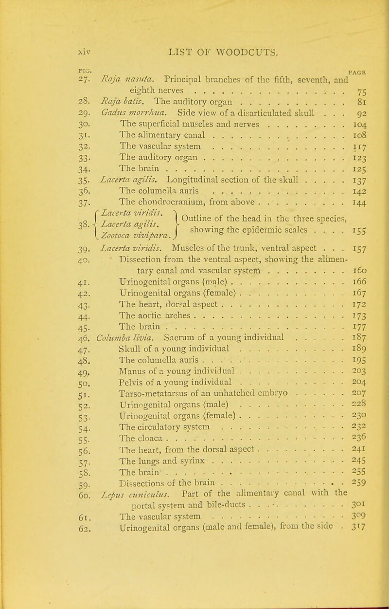 FIC;. PAGE 27. Raja nasiita. Principal branches of the fifth, seventh, and eighth nerves 75 28. Raja bat is. The auditory organ 81 29. Gadzis 7)iorrhua. Side view of a di^^articulated skull ... 92 30. The superficial muscles and nerves 104 31. The alimentary canal 108 32. The vascular system 117 33. The auditory organ 123 34. The brain 125 35. Lacerta agilis. Longitudinal section of the skull 137 36. The columella auris 142 37. The chondrocranium, from above 144 CLaceita viridis. ^ Outline of the head in the three species, 38. ■< Lacerta aptlis. > , • •, • 1 \ ^ . . showing the epidermic scales .... iqc \Zootoca vivipara.j o jr jj 39. Lacerta viridis. Muscles of the trunk, ventral aspect ... 157 40. • Dissection from the ventral aspect, showing the alimen- tary canal and vascular systetil 160 41. Urinogenital organs (male) 166 42. Urinogenital organs (female) 167 43. The heart, dor=al aspect 172 44. The aortic arches 173 45. The brain 177 46. Coliimba livia. Sacrum of a young individual , 187 47. Skull of a young individual 189 48. The columella auris 195 49^ Manus of a young individual 203 50. Pelvis of a young individual 204 51. Tarso-metatarsus of an unhatched embryo 207 52. Urinogenital organs (male) -28 53. Urinogenital organs (female) 230 54. The circulatory system 232 55. The cloaca 236 56. The heart, from the dorsal aspect 241 57. The lungs and syrinx 245 58. The brain • • ■ • 255 59. Dissections of the brain 259 60. Lcptis cuniciilvs. Part of the alimentary canal with the portal system and bile-ducts . . . • 301 61. The vascular system 3*^9 62. Urinogenital organs (male and female), from the side . 317