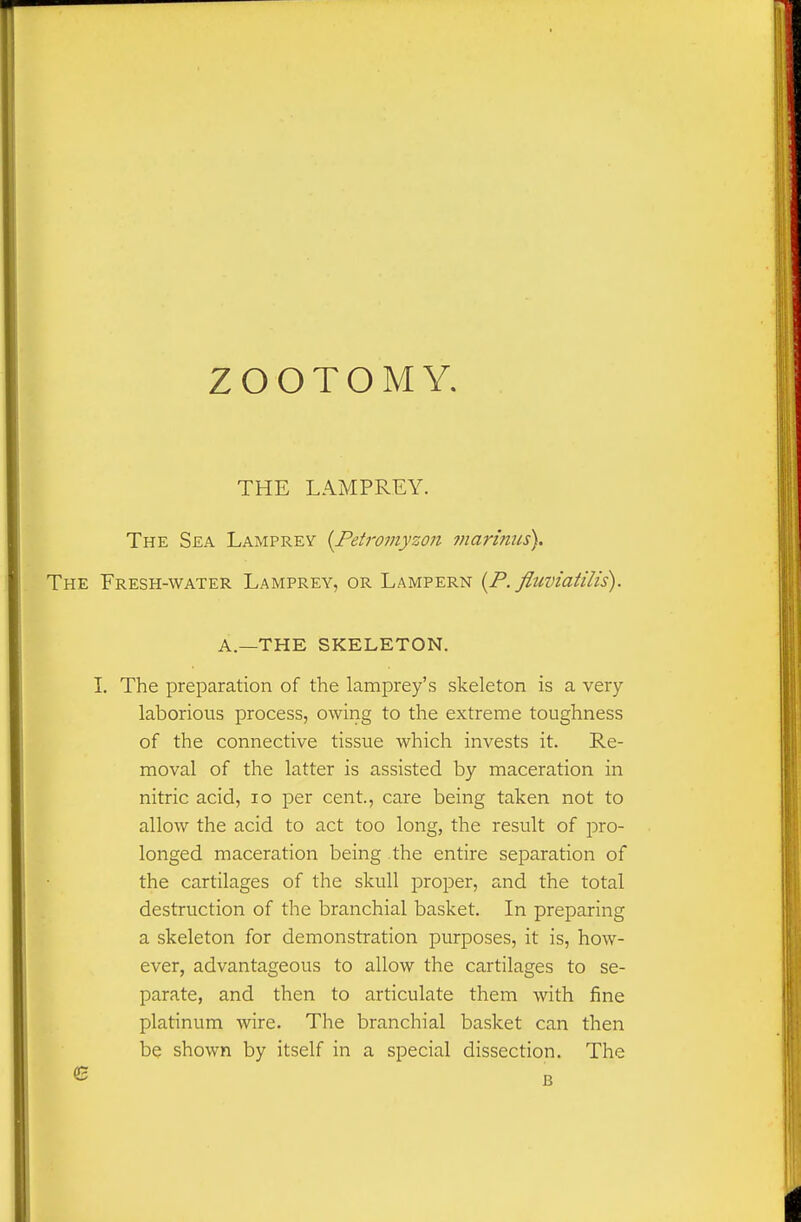 ZOOTOMY, THE LAMPREY. The Sea Lamprey {Petromyzoii ftiarinus). The Fresh-water Lamprey, or Lampern {P. fluviatilis). A.—THE SKELETON. I. The preparation of the lamprey's skeleton is a very laborious process, owing to the extreme toughness of the connective tissue which invests it. Re- moval of the latter is assisted by maceration in nitric acid, lo per cent., care being taken not to allow the acid to act too long, the result of pro- longed maceration being the entire separation of the cartilages of the skull proper, and the total destruction of the branchial basket. In preparing a skeleton for demonstration purposes, it is, how- ever, advantageous to allow the cartilages to se- parate, and then to articulate them with fine platinum wire. The branchial basket can then be shown by itself in a special dissection. The