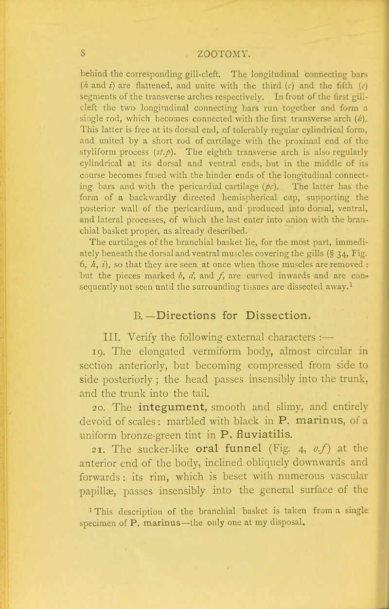 behind the corresponding gill-cleft. The longitudinal connecting bars (k and i) are flattened, and unite with the third (<r) and the fifth (<.') segments of the transverse arches respectively. In front of the first gill- cleft the two longitudinal connecting bars run together and form a single rod, which becomes connected with the first transverse arch (k). This latter is free at its dorsal end, of tolerably regular cylindrical form, and united by a short rod of cartilage with the proximal end of the styliform process [st.p). The eighth transverse arch is also regularly cylindrical at its dorsal and ventral ends, but in the middle of its course becomes fused with the hinder ends of the longitudinal connect- ing bars and with the pericardial cartilage {pc). The latter has the form of a backwardly directed hemispherical cap, supporting the posterior wall of the pericardium, and produced into dorsal, ventral, and lateral processes, of which the last enter into union with the bran- chial basket proper, as already described. The cartilages of the branchial basket lie, for the most part, immedi- ately beneath the dorsal and ventral muscles covering the gills (§ 34, Fig. 6, h, i), so that they are seen at once when those muscles are removed : but the pieces marked b, d, and f, are curved inwards and are con- sequently not seen until the surrounding tissues are dissected away.^ B.—Directions for Dissection. III. Verify the following external characters :— 19. The elongated vermiform body, almost circular in section anteriorly, but becoming compressed from side to side posteriorly; the head passes insensibly into the trunk, and the trunk into the tail. 20. The integument, smooth and slimy, and entirely devoid of scales: marbled with black in P. marinus, of a uniform bronze-green tint in P. fluviatilis. 21. The sucker-like oral funnel (Fig. 4, o.f) at the anterior end of the body, inclined obliquely downwards and forwards : its rim, which is beset with numerous vascular papillae, passes insensibly into the general surface of the 1 This description of the branchial basket is taken from a single specimen of P. marinus—the only one at my disposal.