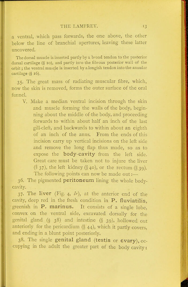 a ventral, which pass forwards, the one above, the other below the line of branchial apertures, leaving these latter uncovered. The dorsal muscle is inserted partly by a broad tendon to the posterior dorsal cartilage (§ 10), and partly into the fibrous posterior wall of the orbit; the ventral muscle is inserted by alongish tendon into the annular cartilage (§ 16). 35. The great mass of radiating muscular fibre, which, now the skin is removed, forms the outer surface of the oral funnel. V. Make a median ventral incision through the skin and muscle forming the walls of the body, begin- ning about the middle of the body, and proceeding forwards to within about half an inch of the last gill-cleft, and backwards to within about an eighth of an inch of the anus. From the ends of this incision carry up vertical incisions on the left side and remove the long flap thus made, so as to expose the body-cavity from the left side. Great care must be taken not to injure the liver (§ 37), the left kidney (§40), or the rectum (§39). The following points can now be made out:— 36. The pigmented peritoneum lining the whole body- cavity. 37. The liver (Fig. 4, //-), at the anterior end of the cavity, deep red in the fresh condition in P. fluviatilis, ■greenish in P. marinus. It consists of a single lobe, convex on the ventral side, excavated dorsally for the genital gland (§ 38) and intestine (§ 39), hollowed out anteriorly for the pericardium (§ 44), which it partly covers, and ending in a blunt point posteriorly. 38. The single genital gland (testis or cvary), oc- cupying in the adult the greater part of the body cavity: