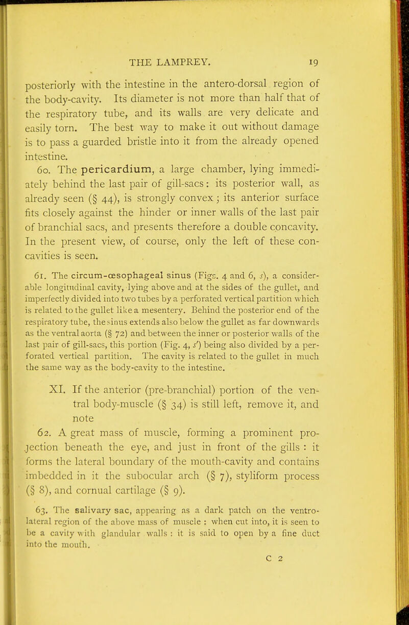 posteriorly with the intestine in the antero-dorsal region of the body-cavity. Its diameter is not more than half that of the respiratory tube, and its walls are very delicate and easily torn. The best way to make it out without damage is to pass a guarded bristle into it from the already opened intestine. 60. The pericardium, a large chamber, lying immedi- ately behind the last pair of gill-sacs: its posterior wall, as already seen (§ 44), is strongly convex; its anterior surface fits closely against the hinder or inner walls of the last pair of branchial sacs, and presents therefore a double concavity. In the present view, of course, only the left of these con- cavities is seen. 61. The circum-CESophageal sinus (Figs. 4 and 6, s), a consider- able longitudinal cavity, lying above and at the sides of the gullet, and imperfectly divided into two tubes by a perforated vertical partition which is related to the gullet like a mesentery. Behind the posterior end of the respiratory tube, the sinus extends also below the gullet as far downwards as the ventral aorta (§ 72) and between the inner or posterior walls of the last pair of gill-sacs, this portion (Fig. 4, /) being also divided by a per- forated vertical partition. The cavity is related to the gullet in much the same way as the body-cavity to the intestine. XI. If the anterior (pre-branchial) portion of the ven- tral body-muscle (§ 34) is still left, remove it, and note 62. A great mass of muscle, forming a prominent pro- jection beneath the eye, and just in front of the gills : it forms the lateral boundary of the mouth-cavity and contains imbedded in it the subocular arch (§ 7), styliform process (§ 8), and cornual cartilage (§ 9). 63. The salivary sac, appearing as a dark patch on the ventro- lateral region of the above mass of muscle : when cut into, it is seen to be a cavity with glandular walls : it is said to open by a fine duct into the mouth. C 2
