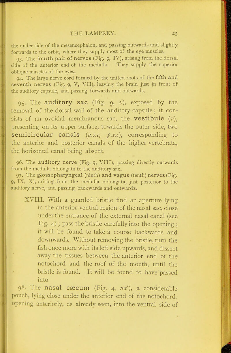 the under side of the mesencephalon, and passing outwards and slightly forwards to the orbit, where they supply most of the eye muscles. 93. The fourth pair of nerves (Fig. 9, IV), arising from the dorsal side of the anterior end of the medulla. They supply the superior oblique muscles of the eyes. 94. The large nerve cord formed by the united roots of the fifth and seventh nerves (Fig. 9, V, VII), leaving the brain just in front of the auditory capsule, and passing forwards and outwards. 95. The auditory sac (Fig. 9, v)^ exposed by the removal of the dorsal wall of the auditory capsule; it con- sists of an ovoidal membranous sac, the vestibule (?'), presenting on its upper surface, towards the outer side, two semicircular canals {a.s.c, J>.s.c), corresponding to the anterior and posterior canals of the higher vertebrata, the horizontal canal being absent. 96. The auditory nerve (Fig. 9, VIII), passing directly outwards from the medulla oblongata to the auditory sac. 97. The glossopharyngeal (ninth) and vagus (tenth) nerves (Fig. 9, IX, X), arising from the medulla oblongata, just posterior to the auditory nerve, and passing backwards and outwards. XVIII. With a guarded bristle find an aperture lying in the anterior ventral region of the nasal sac, close under the entrance of the external nasal canal (see Fig. 4) ; pass the bristle carefully into the opening ; it will be found to take a course backwards and downwards. Without removing the bristle, turn the fish once more with its left side upwards, and dissect away the tissues between the anterior end of the notochord and the roof of the mouth, until the bristle is found. It will be found to have passed into 98. The nasal caecum (Fig. 4, na'), a considerable pouch, lying close under the anterior end of the notochord. opening anteriorly, as already seen, into the ventral side of