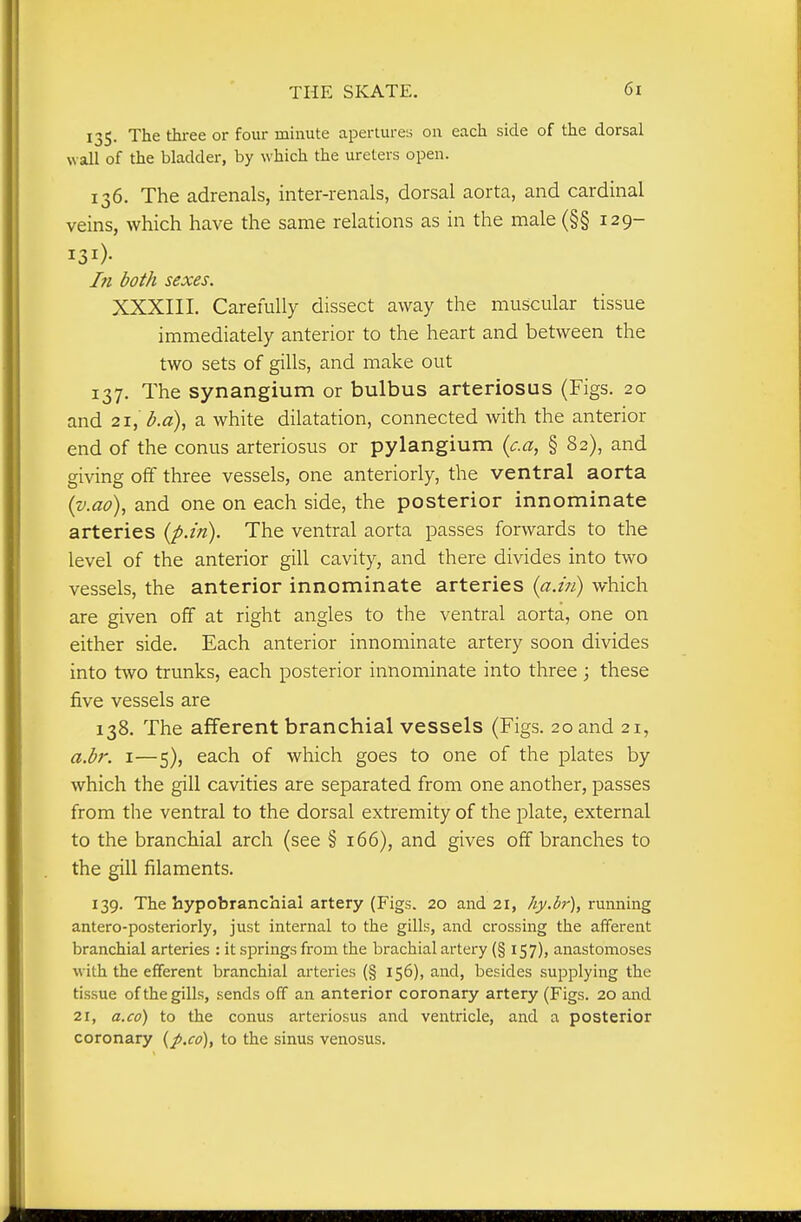 135. The thi-ee or four minute apertures on each side of the dorsal wall of the bladder, by which the ureters open. 136. The adrenals, inter-renals, dorsal aorta, and cardinal veins, which have the same relations as in the male (§§ 129- 131)- In both sexes. XXXIII. Carefully dissect away the muscular tissue immediately anterior to the heart and between the two sets of gills, and make out 137. The synangium or bulbus arteriosus {Figs. 20 and 21, b.a), a white dilatation, connected with the anterior end of the conus arteriosus or pylangium {c.a, § 82), and giving off three vessels, one anteriorly, the ventral aorta {v.ao), and one on each side, the posterior innominate arteries {p.in). The ventral aorta passes forwards to the level of the anterior gill cavity, and there divides into two vessels, the anterior innominate arteries {a.in) which are given off at right angles to the ventral aorta, one on either side. Each anterior innominate artery soon divides into two trunks, each posterior innominate into three ; these five vessels are 138. The afferent branchial vessels (Figs. 20 and 21, a.b?'. I—5), each of which goes to one of the plates by which the gill cavities are separated from one another, passes from the ventral to the dorsal extremity of the plate, external to the branchial arch (see § 166), and gives off branches to the gill filaments. 139. The hypobranchial artery (Figs. 20 and 21, hy.br), running antero-posteriorly, just internal to the gills, and crossing the afferent branchial arteries : it springs from the brachial artery (§ 157), anastomoses with the efferent branchial arteries (§ 156), and, besides supplying the tissue of the gills, sends off an anterior coronary artery (Figs. 20 and 21, a.co) to the conus arteriosus and ventricle, and a posterior coronary {p.cd], to the sinus venosus.