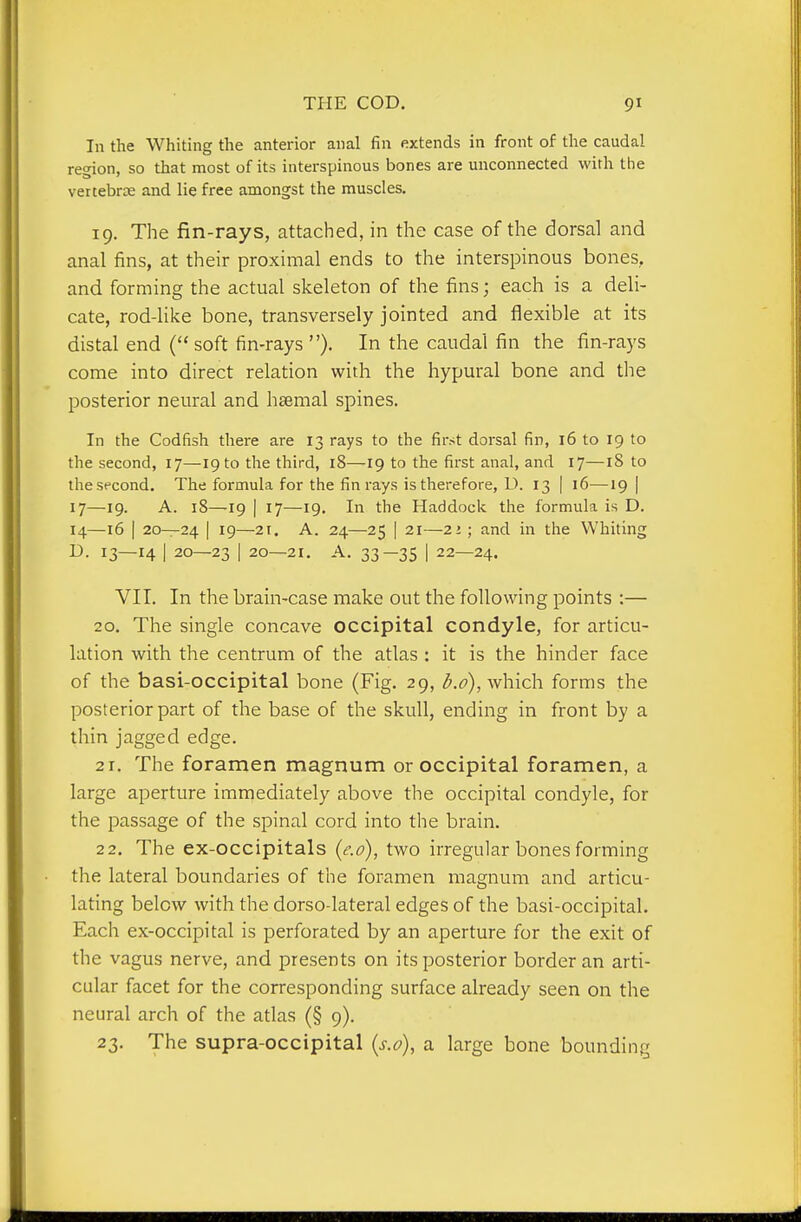 In the Whiting the anterior anal fin extends in front of the caudal region, so that most of its interspinous bones are unconnected with the vertebrae and lie free amongst the muscles. 19. The fin-rays, attached, in the case of the dorsal and anal fins, at their proximal ends to the interspinous bones, and forming the actual skeleton of the fins; each is a deli- cate, rod-like bone, transversely jointed and flexible at its distal end (soft fin-rays). In the caudal fin the fin-rays come into direct relation with the hypural bone and the posterior neural and haemal spines. In the Codfish there are 13 rays to the first dorsal fin, 16 to 19 to the second, 17—19 to the third, 18—19 to the first anal, and 17—18 to the second. The formula for the fin rays is therefore, D. 13 | 16—19 | 17—19. A. 18—.19 I 17—19. In the Haddock the formula is D. 14—16 I 20—24 I 19—21. A. 24—25 I 21—21 ; and in tlie Whiting D. 13—14 I 20—23 I 20—21. A. 33—35 I 22—24. VII. In the brain-case make out the following points :— 20. The single concave occipital condyle, for articu- lation with the centrum of the atlas : it is the hinder face of the basi-occipital bone (Fig. 29, b.o), which forms the posterior part of the base of the skull, ending in front by a thin jagged edge. 21. The foramen magnum or occipital foramen, a large aperture immediately above the occipital condyle, for the passage of the spinal cord into the brain. 22. The ex-occipitals ie.o), two irregular bones forming the lateral boundaries of the foramen magnum and articu- lating below with the dorso-lateral edges of the basi-occipital. Each ex-occipital is perforated by an aperture for the exit of the vagus nerve, and presents on its posterior border an arti- cular facet for the corresponding surface already seen on the neural arch of the atlas (§ 9). 23. The supra-occipital {s.o), a large bone bounding