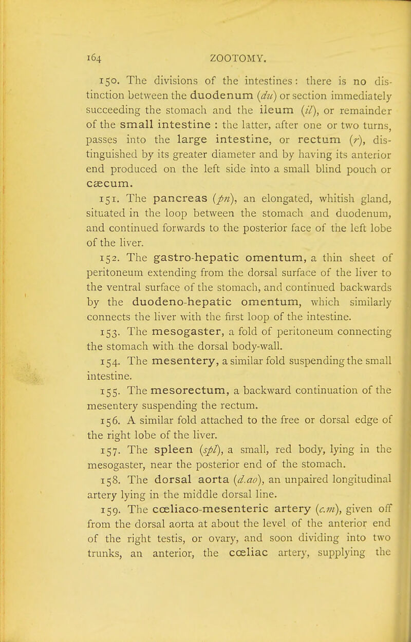 150. The divisions of the intestines: there is no dis- tinction between the duodenum {du) or section immediately succeeding the stomach and the ileum (//), or remainder of the small intestine : the latter, after one or two turns, passes into the large intestine, or rectum (r), dis- tinguished by its greater diameter and by having its anterior end produced on the left side into a small blind pouch or caecum. 151. The pancreas an elongated, whitish gland, situated in the loop between the stomach and duodenum, and continued forwards to the posterior face of the left lobe of the liver. 152. The gastro-hepatic omentum, a thin sheet of peritoneum extending from the dorsal surface of the liver to the ventral surface of the stomach, and continued backwards by the duodeno-hepatic omentum, which similarly connects the liver with the first loop of the intestine. 153. The mesogaster, a fold of peritoneum connecting the stomach with the dorsal body-wall. 154. The mesentery, a similar fold suspending the small intestine. 155. The mesorectum, a backward continuation of the mesentery suspending the rectum. 156. A similar fold attached to the free or dorsal edge of the right lobe of the liver. 157. The spleen {spt), a small, red body, lying in the mesogaster, near the posterior end of the stomach. 158. The dorsal aorta [d.ao), an unpaired longitudinal artery lying in the middle dorsal line. 159. The coeliaco-mesenteric artery {cm), given off from the dorsal aorta at about the level of the anterior end of the right testis, or ovary, and soon dividing into two trunks, an anterior, the coeliac artery, supplying the