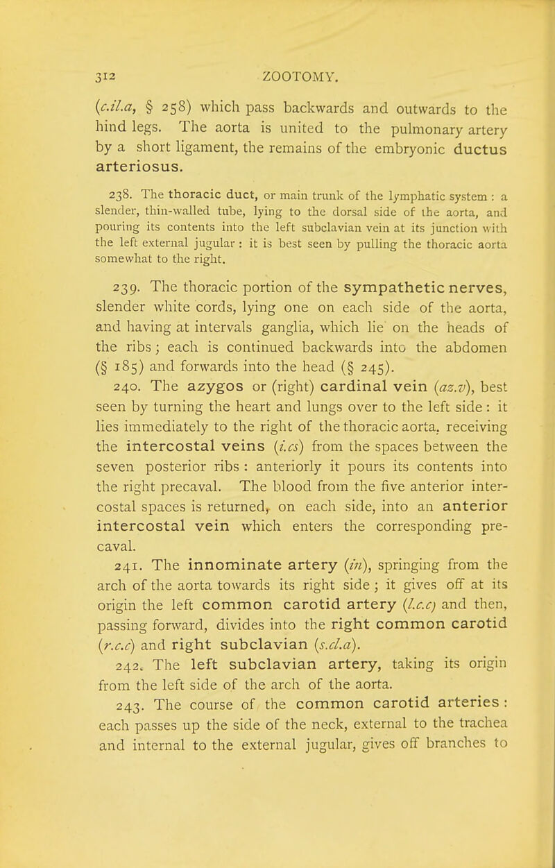 (c.il.a, § 258) which pass backwards and outwards to the hind legs. The aorta is united to the pulmonary artery by a short ligament, the remains of the embryonic ductus arteriosus. 238. The thoracic duct, or main trunk of the lymphatic system : a slender, thin-walled tube, lying to the dorsal side of the aorta, and pouring its contents into the left subclavian vein at its junction with the left external jugular : it is best seen by pulling the thoracic aorta somewhat to the right. 239. The thoracic portion of the sympathetic nerves, slender white cords, lying one on each side of the aorta, and having at intervals ganglia, which lie on the heads of the ribs; each is continued backwards into the abdomen (§ 185) and forwards into the head (§ 245). 240. The azygos or (right) cardinal vein (az.v), best seen by turning the heart and lungs over to the left side: it lies immediately to the right of the thoracic aorta, receiving the intercostal veins {t'.cs) from the spaces between the seven posterior ribs : anteriorly it pours its contents into the right precaval. The blood from the five anterior inter- costal spaces is returned, on each side, into an anterior intercostal vein which enters the corresponding pre- caval. 241. The innominate artery (/«), springing from the arch of the aorta towards its right side ; it gives off at its origin the left common carotid artery (/.r.^r; and then, passing forward, divides into the right common carotid (r.c.c) and right subclavian {s.d.a). 242. The left subclavian artery, taking its origin from the left side of the arch of the aorta. 243. The course of the common carotid arteries : each passes up the side of the neck, external to the trachea and internal to the external jugular, gives off branches to