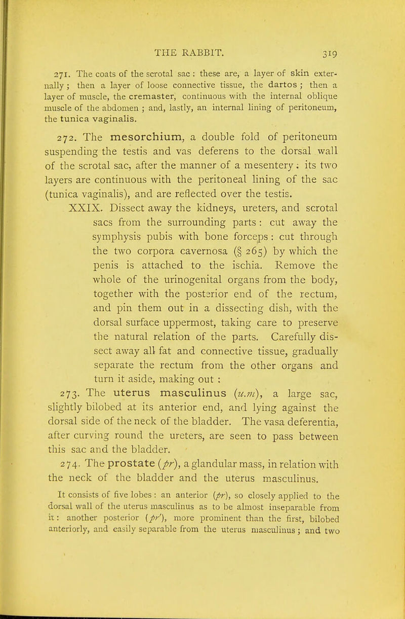 271. The coats of the scrotal sac : these are, a layer of skin exter- nally ; then a layer of loose connective tissue, the dartos ; then a layer of muscle, the cremaster, continuous with the internal oblique muscle of the abdomen ; and, lastly, an internal lining of peritoneum, the tunica vaginalis. 272. The mesorchium, a double fold of peritoneum suspending the testis and vas deferens to the dorsal wall of the scrotal sac, after the manner of a mesentery; its two layers are continuous with the peritoneal lining of the sac (tunica vaginalis), and are reflected over the testis. XXIX. Dissect away the kidneys, ureters, and scrotal sacs from the surrounding parts : cut away the symphysis pubis with bone forceps : cut through the two corpora cavernosa (§265) by which the penis is attached to the ischia. Remove the whole of the urinogenital organs from the body, together with the postarior end of the rectum, and pin them out in a dissecting dish, with the dorsal surface uppermost, taking care to preserve the natural relation of the parts. Carefully dis- sect away all fat and connective tissue, gradually separate the rectum from the other organs and turn it aside, making out : 273. The uterus masculinus {u.ni), a large sac, slightly bilobed at its anterior end, and lying against the dorsal side of the neck of the bladder. The vasa deferentia, after curving round the ureters, are seen to pass between this sac and the bladder. 274. The prostate (/r), a glandular mass, in relation with the neck of the bladder and the uterus masculinus. It consists of five lobes : an anterior {pr), so closely applied to the dorsal wall of the uterus masculinus as to be almost inseparable from it: another posterior (pr'), more prominent than the first, bilobed anteriorly, and easily separable from the uterus masculinus; and two