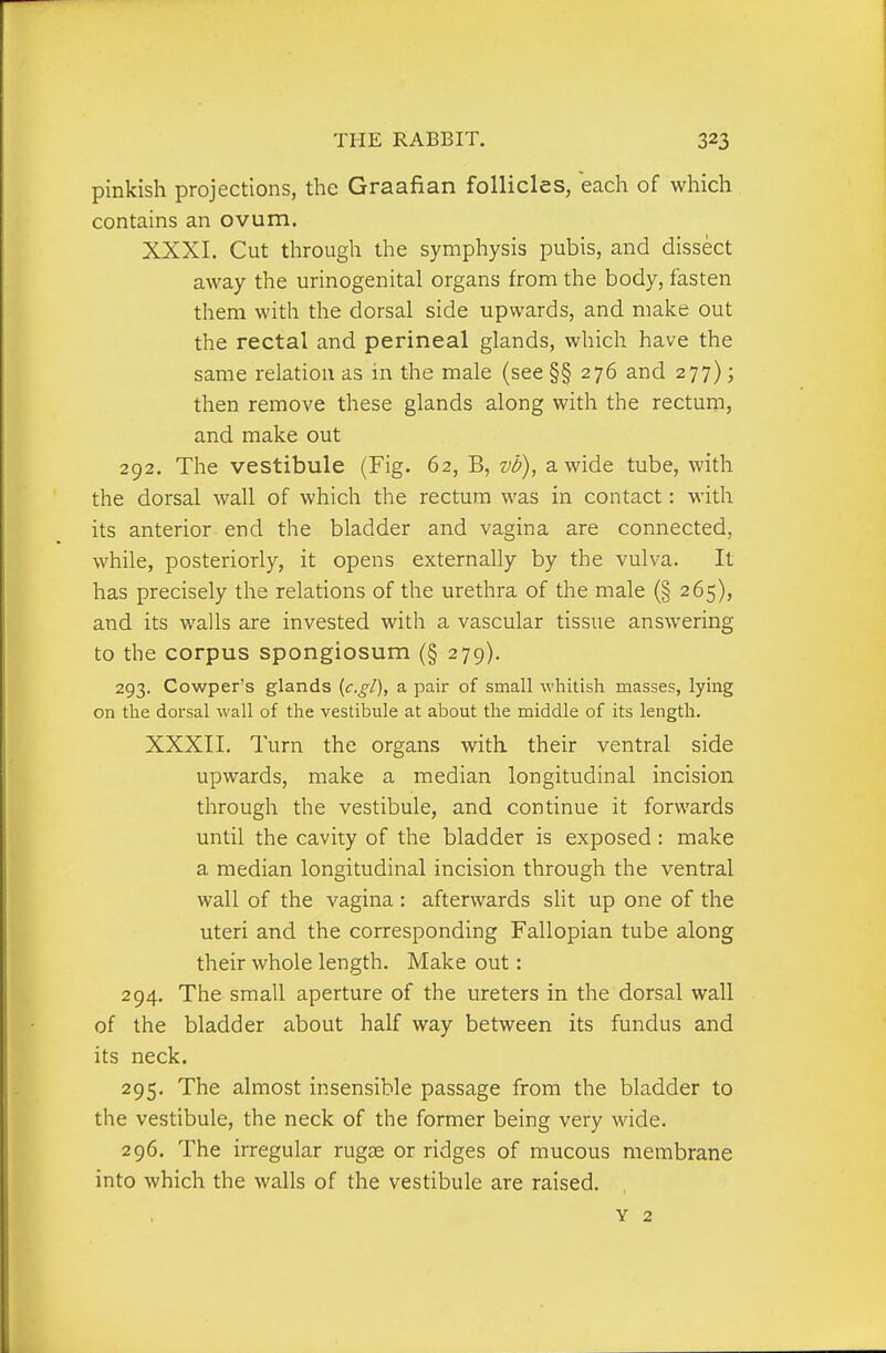 pinkish projections, the Graafian follicles, each of which contains an ovum, XXXI. Cut through the symphysis pubis, and dissect away the urinogenital organs from the body, fasten them with the dorsal side upwards, and make out the rectal and perineal glands, which have the same relation as in the male (see §§ 276 and 277); then remove these glands along with the rectum, and make out 292. The vestibule (Fig. 62, B, vb), a wide tube, with the dorsal wall of which the rectum was in contact: with its anterior end the bladder and vagina are connected, while, posteriorly, it opens externally by the vulva. It has precisely the relations of the urethra of the male (§ 265), and its walls are invested with a vascular tissue answering to the corpus spongiosum (§ 279). 293. Cowper's glands {c.gl), a pair of small whitish masses, lying on the dorsal wall of the vestibule at about the middle of its length. XXXII. Turn the organs with their ventral side upwards, make a median longitudinal incision through the vestibule, and continue it forwards until the cavity of the bladder is exposed: make a median longitudinal incision through the ventral wall of the vagina : afterwards slit up one of the uteri and the corresponding Fallopian tube along their whole length. Make out: 294. The small aperture of the ureters in the dorsal wall of the bladder about half way between its fundus and its neck. 295. The almost insensible passage from the bladder to the vestibule, the neck of the former being very wide. 296. The irregular rugjE or ridges of mucous membrane into which the walls of the vestibule are raised. Y 2