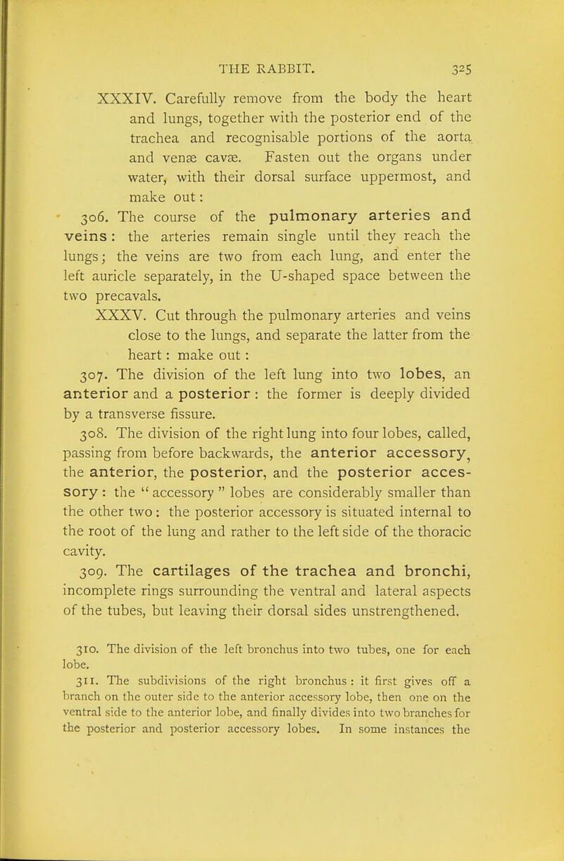 XXXIV. Carefully remove from the body the heart and lungs, together with the posterior end of the trachea and recognisable portions of the aorta and venae cavae. Fasten out the organs under water, with their dorsal surface uppermost, and make out: 306. The course of the pulmonary arteries and veins : the arteries remain single until they reach the lungs; the veins are two from each lung, and enter the left auricle separately, in the U-shaped space between the two precavals. XXXV. Cut through the pulmonary arteries and veins close to the lungs, and separate the latter from the heart: make out: 307. The division of the left lung into two lobes, an anterior and a posterior : the former is deeply divided by a transverse fissure. 308. The division of the right lung into four lobes, called, passing from before backwards, the anterior accessory^ the anterior, the posterior, and the posterior acces- sory : the  accessory  lobes are considerably smaller than the other two : the posterior accessory is situated internal to the root of the lung and rather to the left side of the thoracic cavity. 309. The cartilages of the trachea and bronchi, incomplete rings surrounding the ventral and lateral aspects of the tubes, but leaving their dorsal sides unstrengthened. 310. The division of the left bronchus into two tubes, one for each lobe. 311. The subdivisions of the right bronchus: it first gives off a l^ranch on the outer side to the anterior accessory lobe, then one on the ventral side to the anterior lobe, and finally divides into two branches for the posterior and posterior accessory lobes. In some instances the