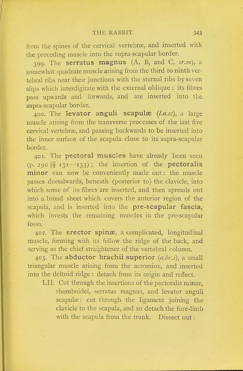from the spines of the cervical vertebrae, and inserted with the preceding muscle into the supra-scapular border. 399. The serratus magnus (A, B, and C, sr.m), a somewhat quadrate muscle arising from the third to ninth ver- tebral ribs near their junctions with the sternal ribs by seven slips which interdigitate with the external oblique : its fibres pass upwards and forwards, and are inserted into the supra-scapular border. 400. The levator anguli scapulae {l.a.sc), a large muscle arising from the transverse processes of the last five cervical vertebrae, and passing backwards to be inserted into the inner surface of the scapula close to its supra-scapular border. 401. The pectoral muscles have already been seen (p. 290 §§ 131—133); the insertion of the pectoralis minor can now be conveniently made out: the muscle passes dorsalwards, beneath (posterior to) the clavicle, into which some of its fibres are inserted, and then spreads out into a broad sheet which covers the anterior region of the scapula, and is inserted into the pre-scapular fascia, which invests the remaining muscles in the pre-scapular fossa. 402. The erector spinse, a complicated, longitudinal muscle, forming with its fellow the ridge of the back, and serving as the chief straightener of the vertebral column. 403. The abductor brachii superior (a.h'.s), a small triangular muscle arising from the acromion, and inserted into the deltoid ridge : detach from its origin and reflect. LII. Cut through the insertions of the pectoralis minor, rhomboidei, serratus magnus, and levator anguli scapulae: cut through the ligament joining the clavicle to the scapula, and so detach the fore-limb with the scapula from the trunk. Dissect out:
