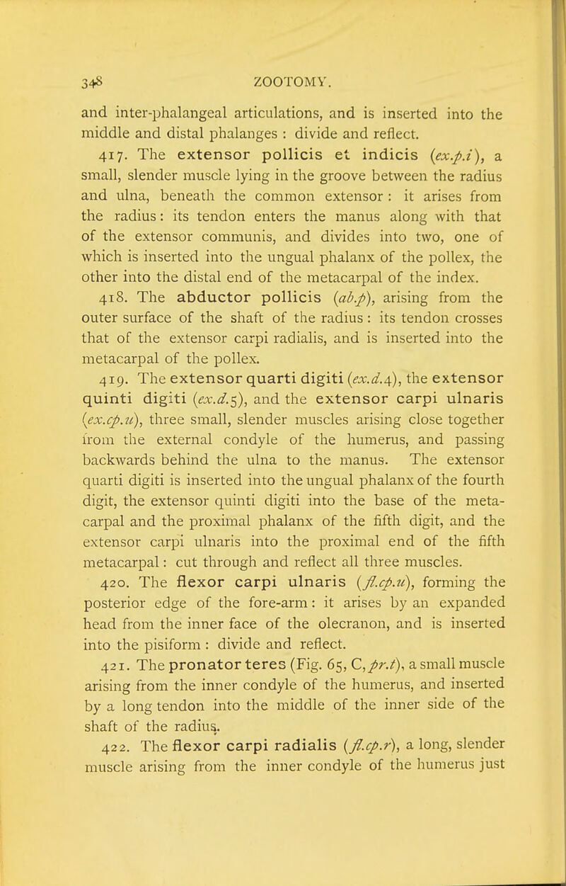 and inter-phalangeal articulations, and is inserted into the middle and distal phalanges : divide and reflect. 417. The extensor pollicis at indicis {ex.p.i), a small, slender muscle lying in the groove between the radius and ulna, beneath the common extensor : it arises from the radius: its tendon enters the manus along with that of the extensor communis, and divides into two, one of which is inserted into the ungual phalanx of the pollex, the other into the distal end of the metacarpal of the index. 418. The abductor pollicis {ab.p), arising from the outer surface of the shaft of the radius: its tendon crosses that of the extensor carpi radialis, and is inserted into the metacarpal of the pollex. 419. The extensor quarti digiti (<?x^.4), the extensor quinti digiti (ex.d.^), and the extensor carpi ulnaris {ex.cp.ii), three small, slender muscles arising close together from the external condyle of the humerus, and passing backwards behind the ulna to the manus. The extensor quarti digiti is inserted into the ungual phalanx of the fourth digit, the extensor quinti digiti into the base of the meta- carpal and the proximal phalanx of the fifth digit, and the extensor carpi ulnaris into the proximal end of the fifth metacarpal: cut through and reflect all three muscles. 420. The flexor carpi ulnaris {fl.cp.ii), forming the posterior edge of the fore-arm: it arises by an expanded head from the inner face of the olecranon, and is inserted into the pisiform : divide and reflect. 421. The pronator teres (Fig. 65, C,/r./), a small muscle arising from the inner condyle of the humerus, and inserted by a long tendon into the middle of the inner side of the shaft of the radius. 422. The flexor carpi radialis {fl.cp.r), a long, slender muscle arising from the inner condyle of the humerus just